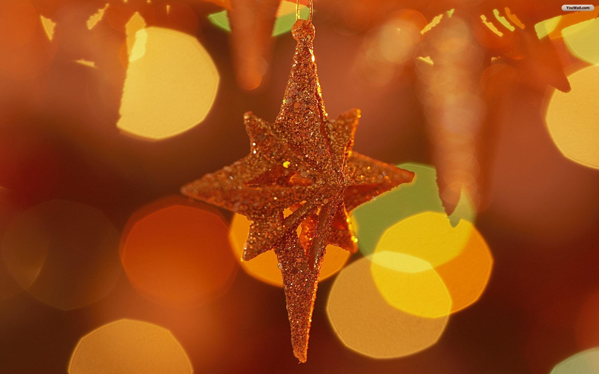 Christmas Star Wallpaper - Christmas Star , HD Wallpaper & Backgrounds