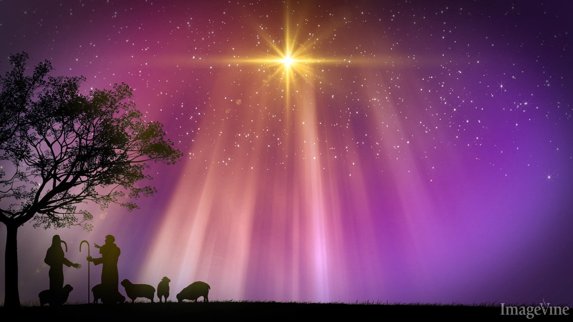 Christmas Star Wallpaper - Church Christmas Powerpoint Background , HD Wallpaper & Backgrounds