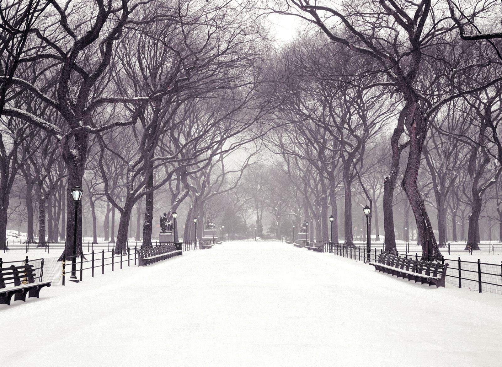 Hecallsmestatuary Walk, Central Park, New York City, - New York City Central Park Winter , HD Wallpaper & Backgrounds