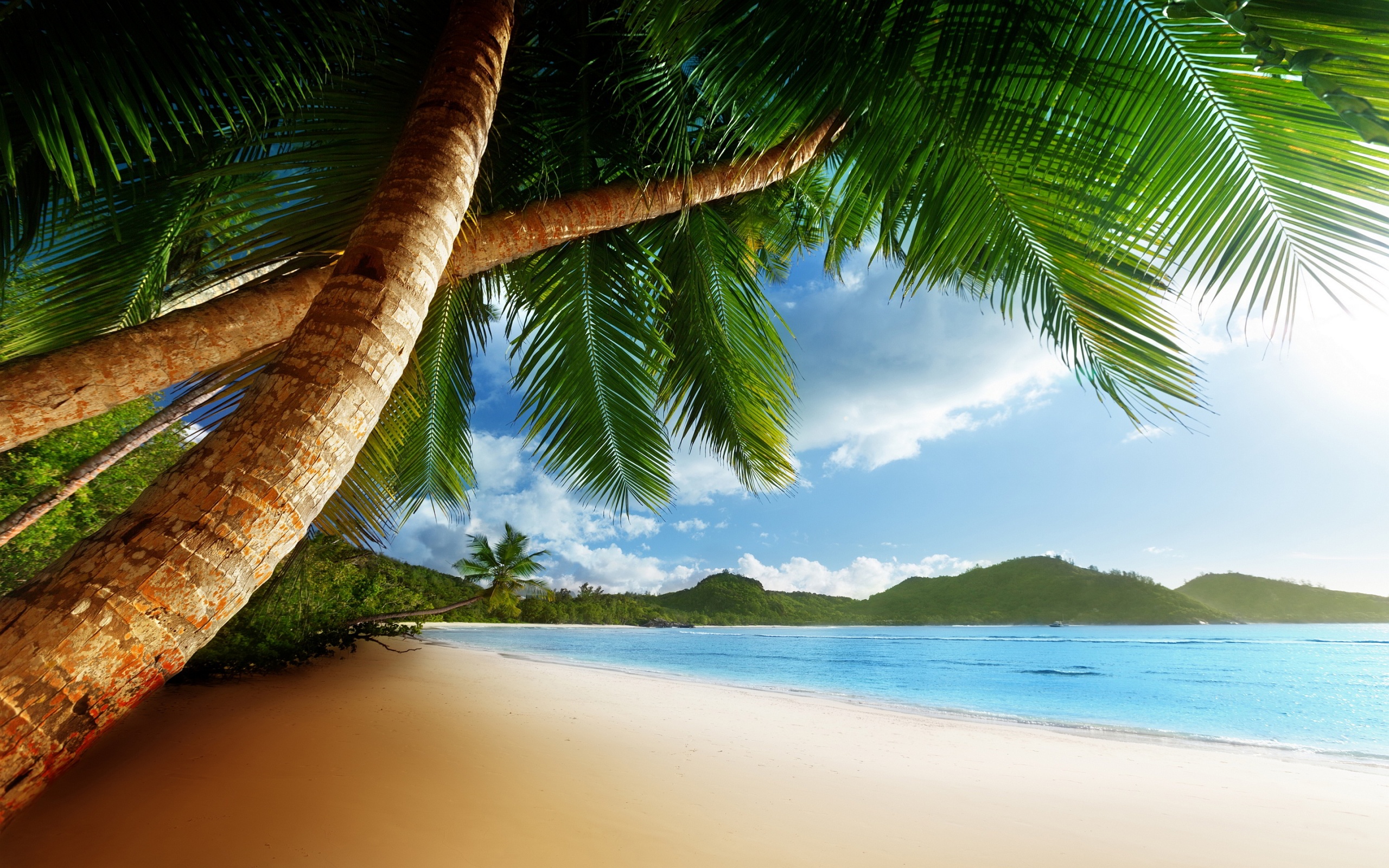 Caribbean Wallpaper 12 - Caribbean Wallpaper Hd , HD Wallpaper & Backgrounds