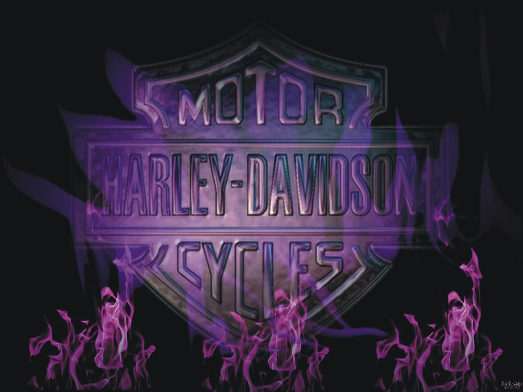 Harley Davidson Live Wallpaper - Flacara Violet , HD Wallpaper & Backgrounds