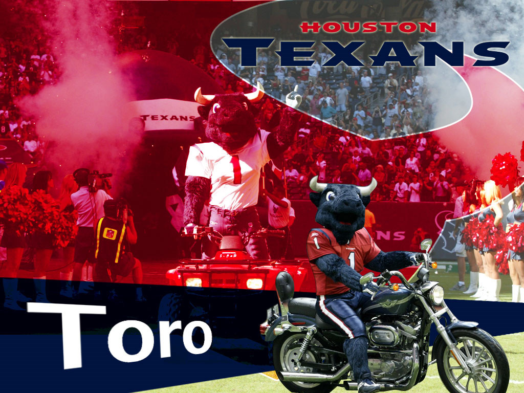 Houston Texans Toro 1 Rbli37iz5x - Houston Texans Mascot , HD Wallpaper & Backgrounds
