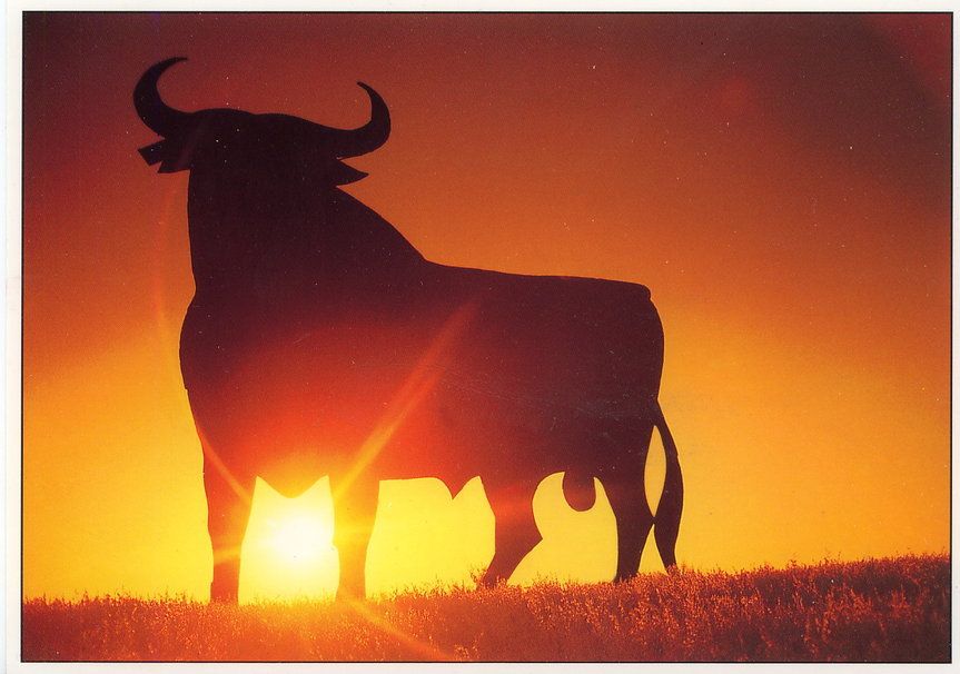 Toro Wallpaper - Bull In Sunset , HD Wallpaper & Backgrounds