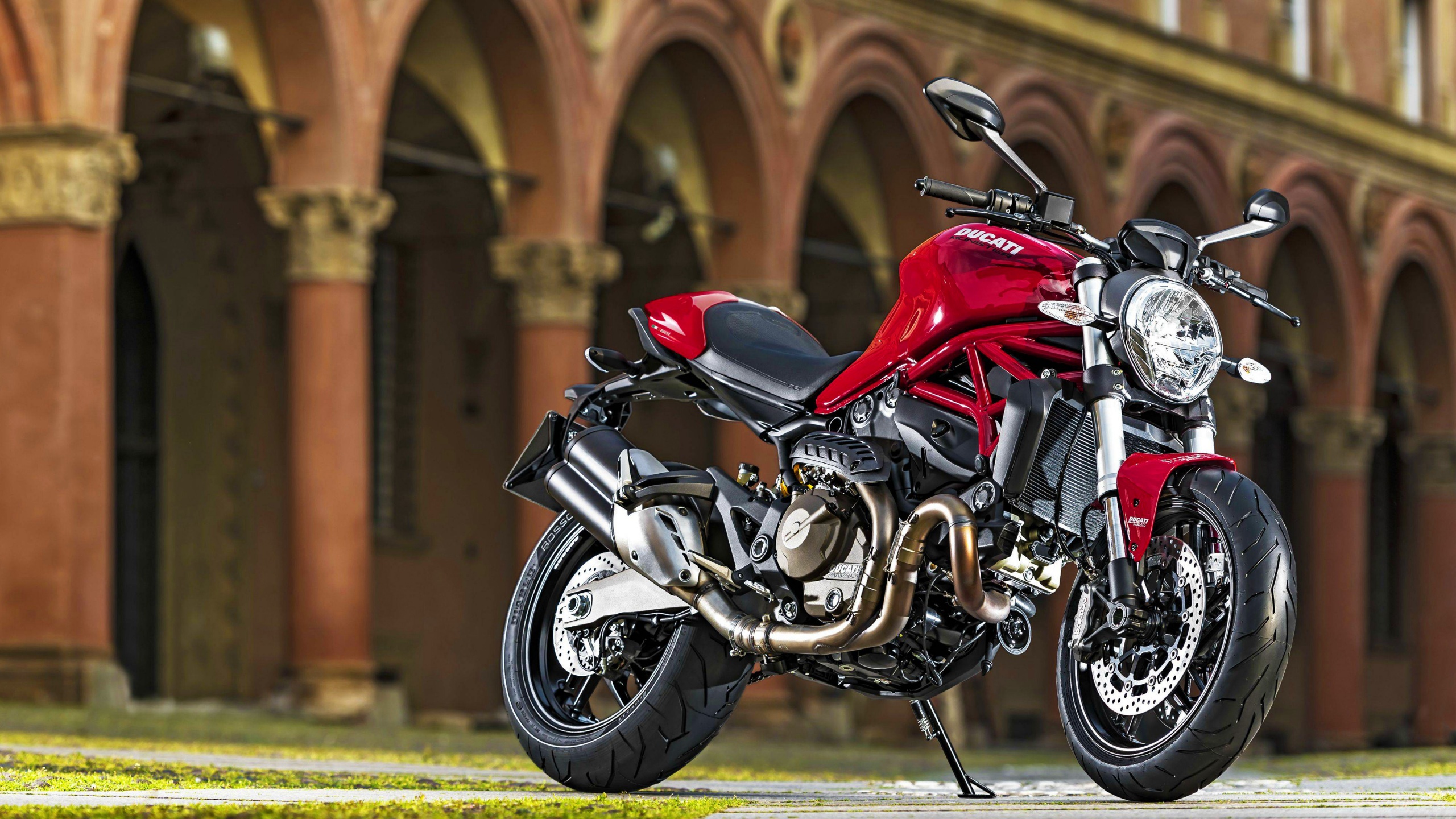2015 Ducati Monster 821 Wallpapers - Ducati Bikes Wallpapers Free Download , HD Wallpaper & Backgrounds