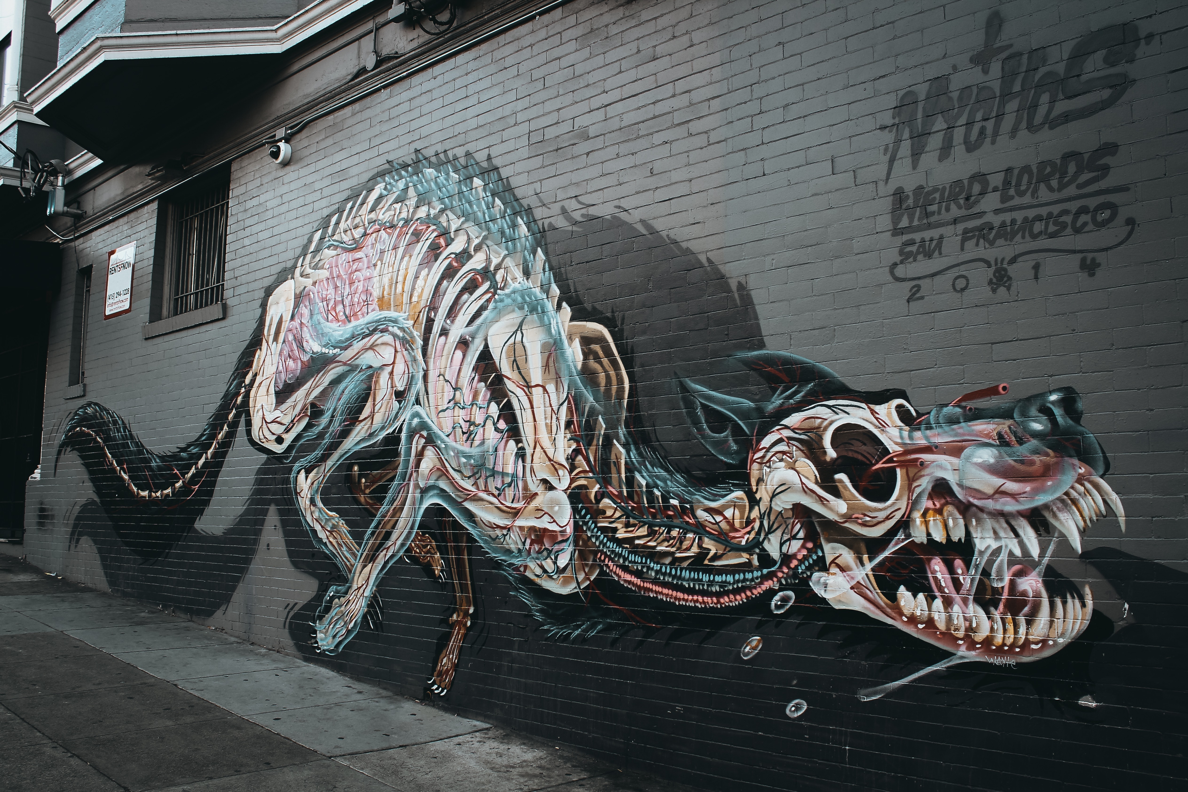 Haight Street Street Art , HD Wallpaper & Backgrounds