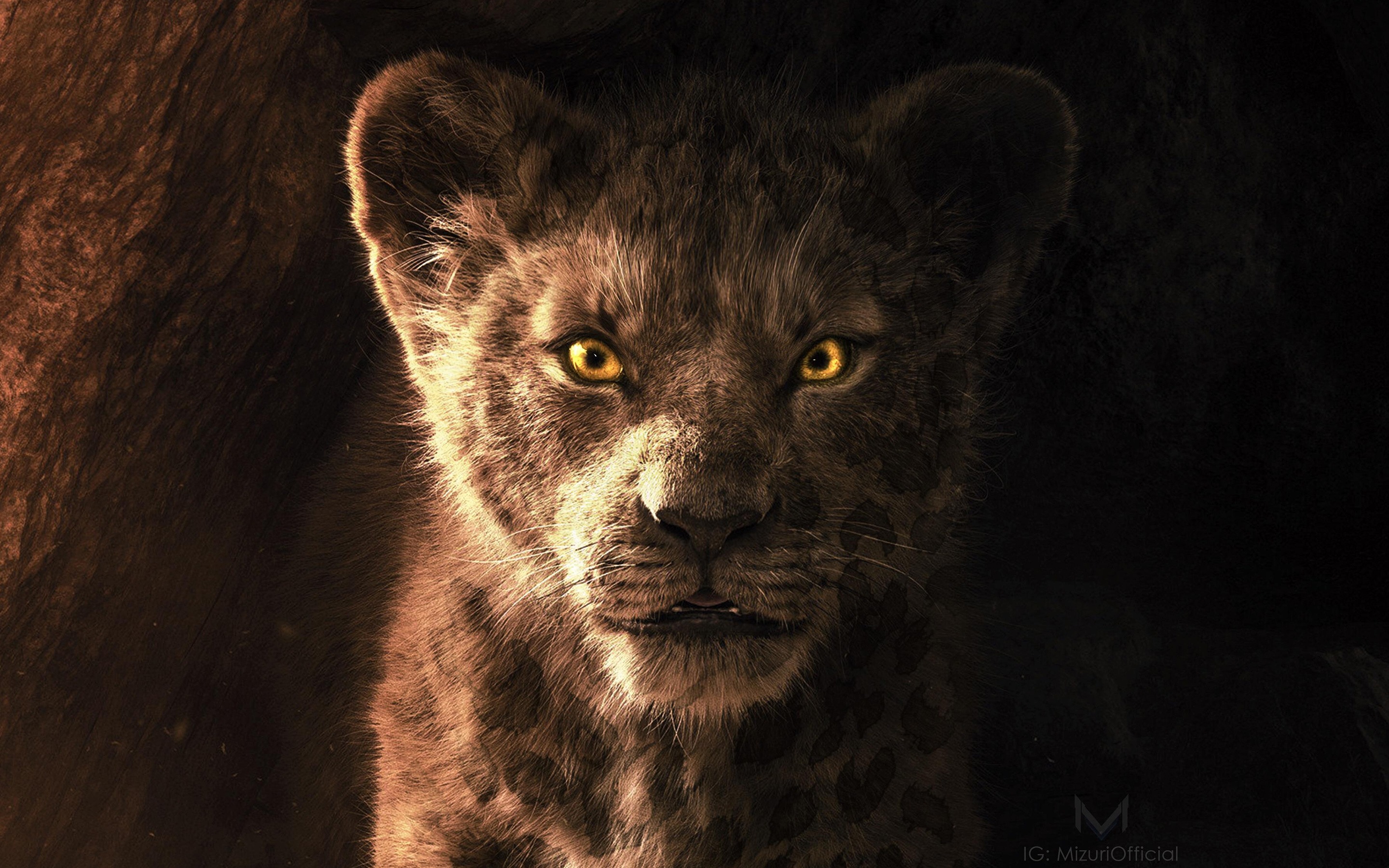 Sua Resolução - - Simba Lion King Live Action , HD Wallpaper & Backgrounds