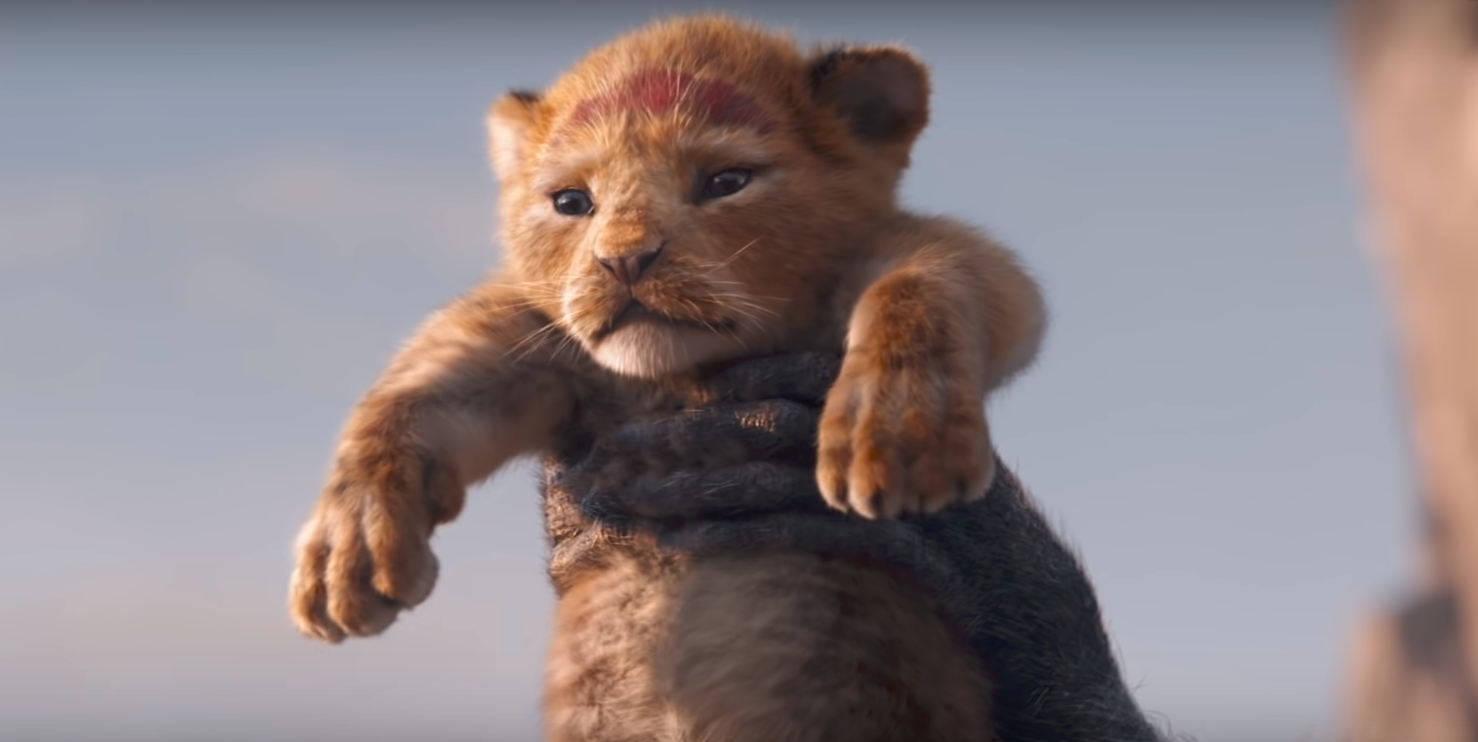 O Rei Leao Live Action - Live Action Lion King Simba , HD Wallpaper & Backgrounds