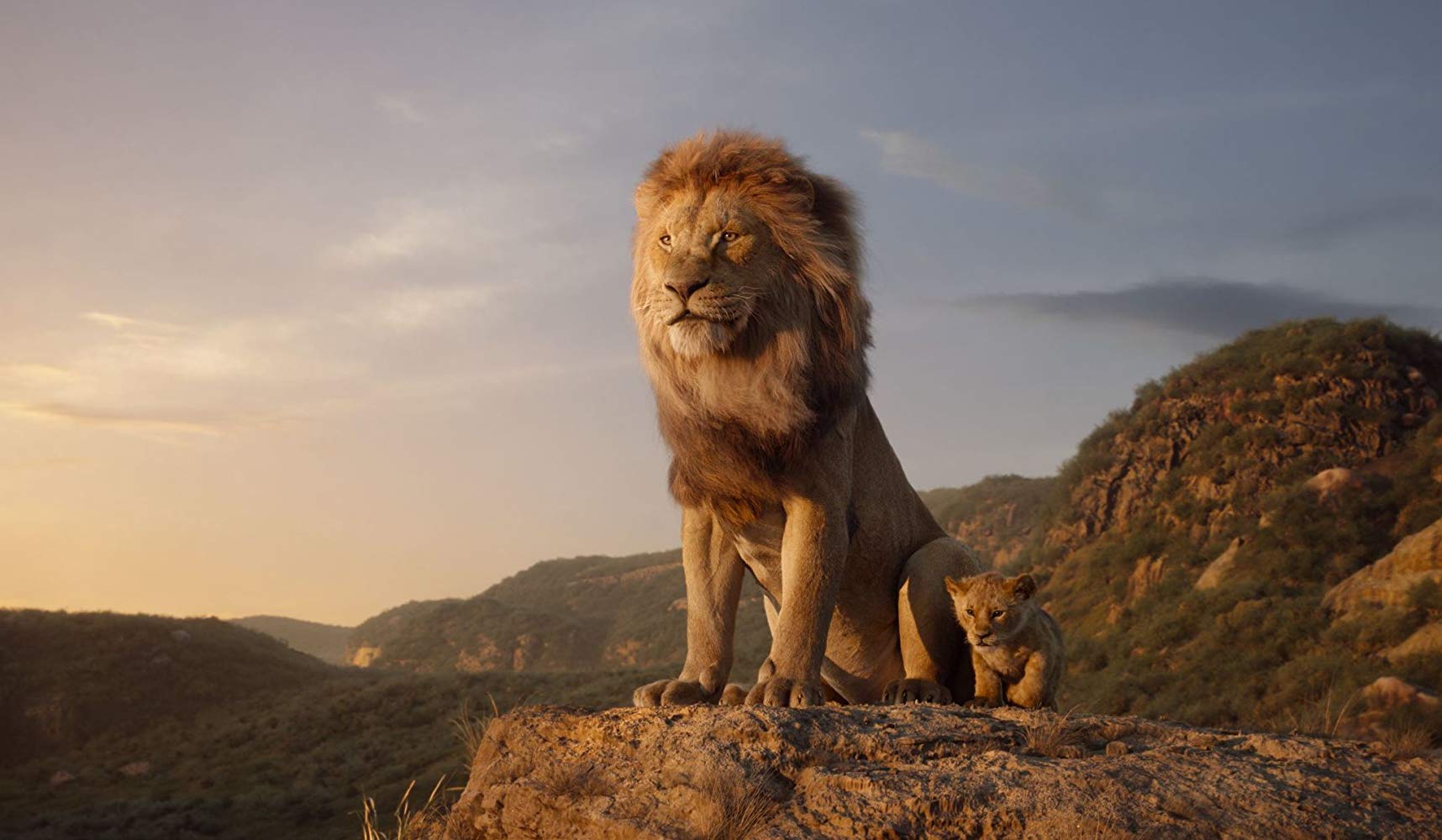 Simba Lion King 2019 , HD Wallpaper & Backgrounds