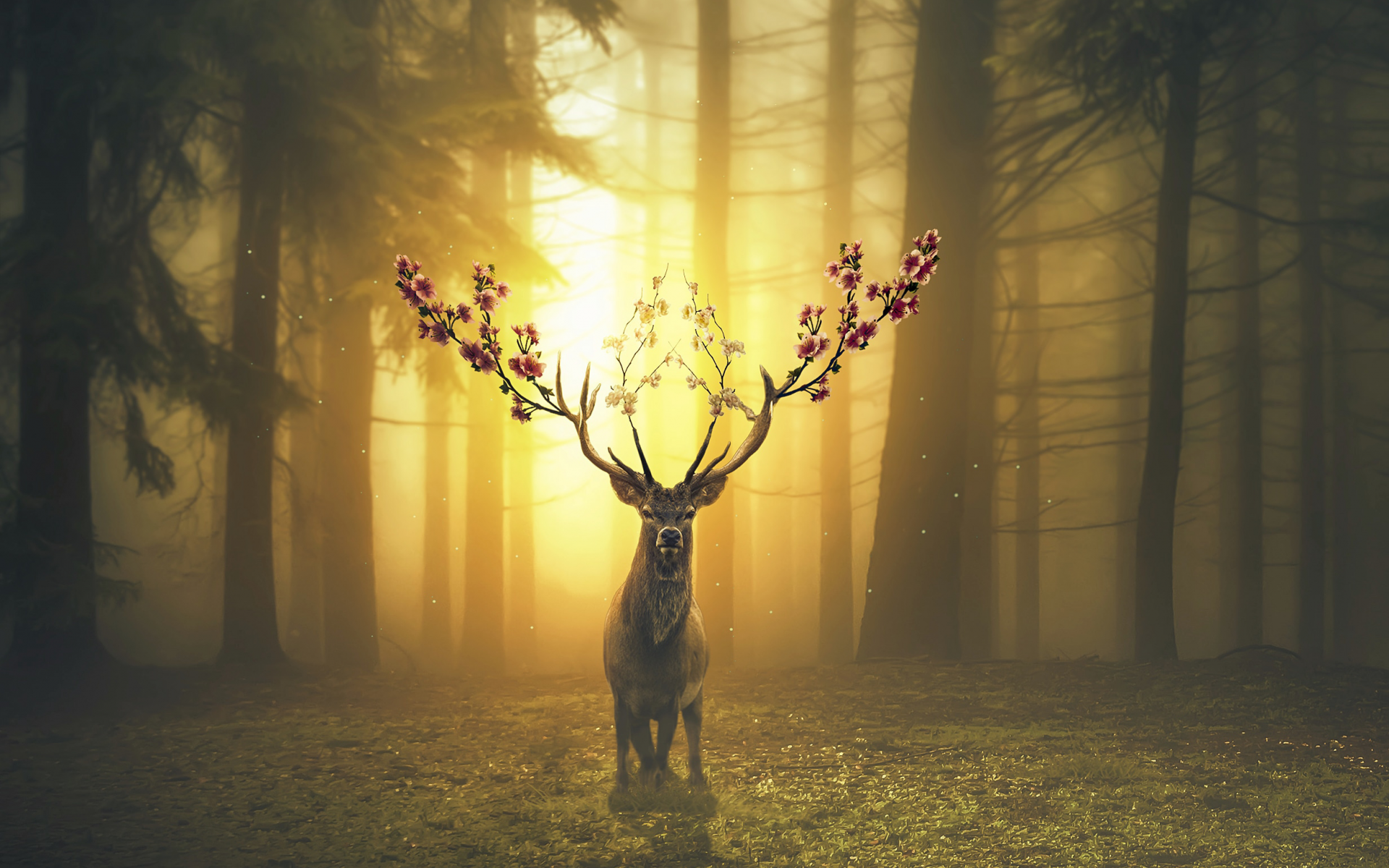 Fantasy Deer In Forest Surreal Wallpaper - Spring Deer , HD Wallpaper & Backgrounds
