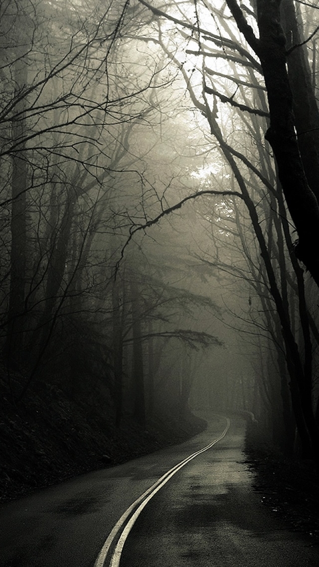 Dunkle Straße Wald Iphone 5 Wallpaper - Dark Forest Background Iphone , HD Wallpaper & Backgrounds