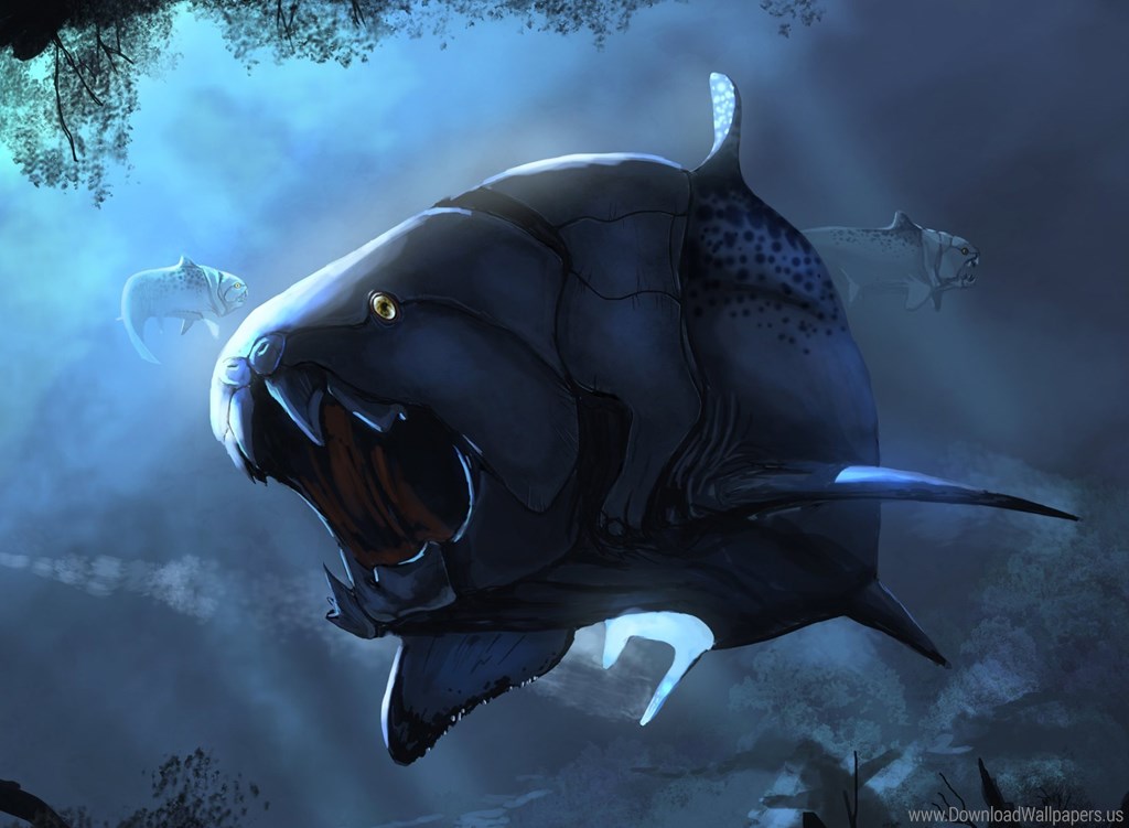 Prehistoric Fish , HD Wallpaper & Backgrounds