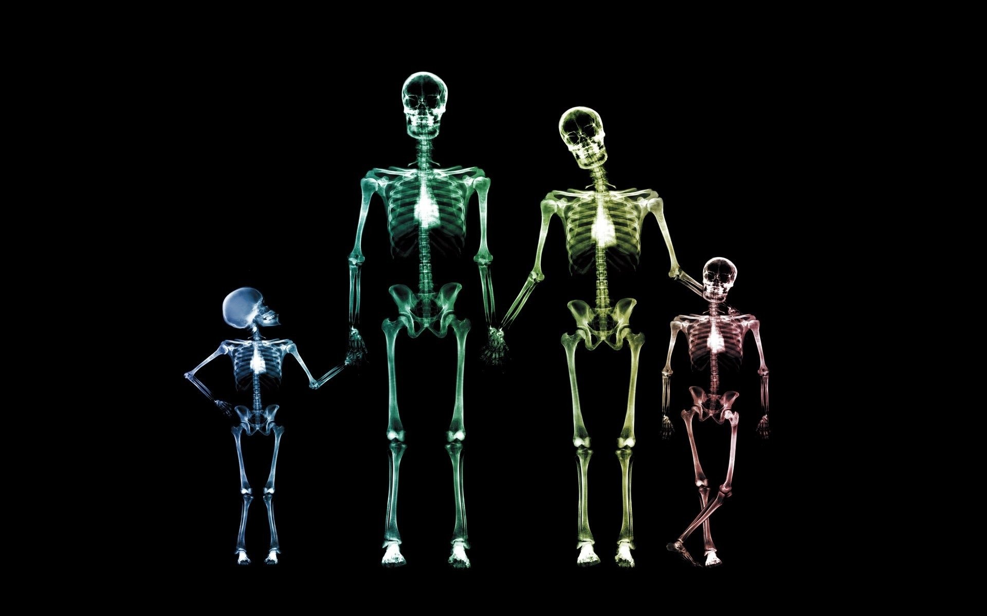 Fondos De Pantalla Id - Family Of 4 Skeletons , HD Wallpaper & Backgrounds