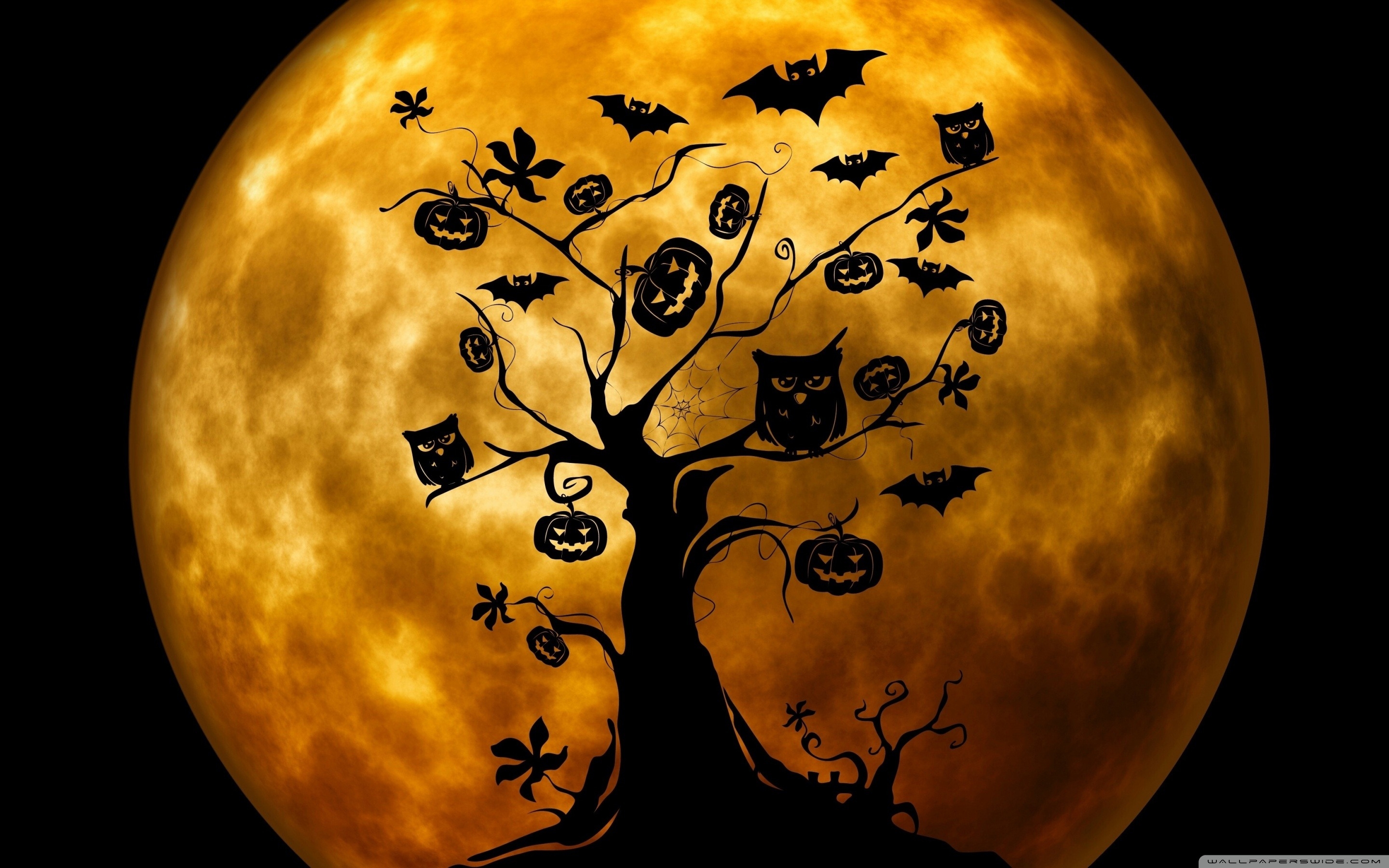 Halloween Owls And Bats Orange ❤ 4k Hd Desktop Wallpaper - Halloween Wallpaper Owls , HD Wallpaper & Backgrounds