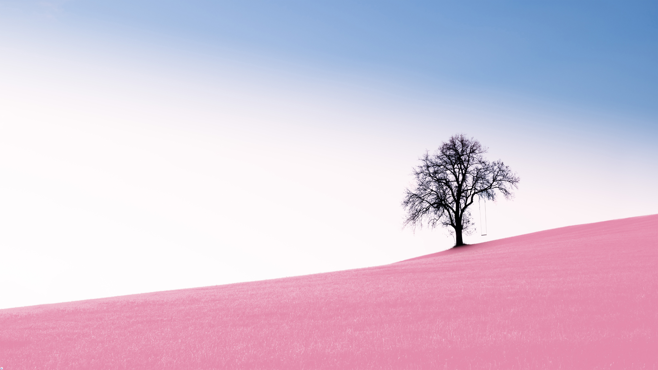 Pink Hill Tree Swing Wallpaper - Solitude Tree , HD Wallpaper & Backgrounds