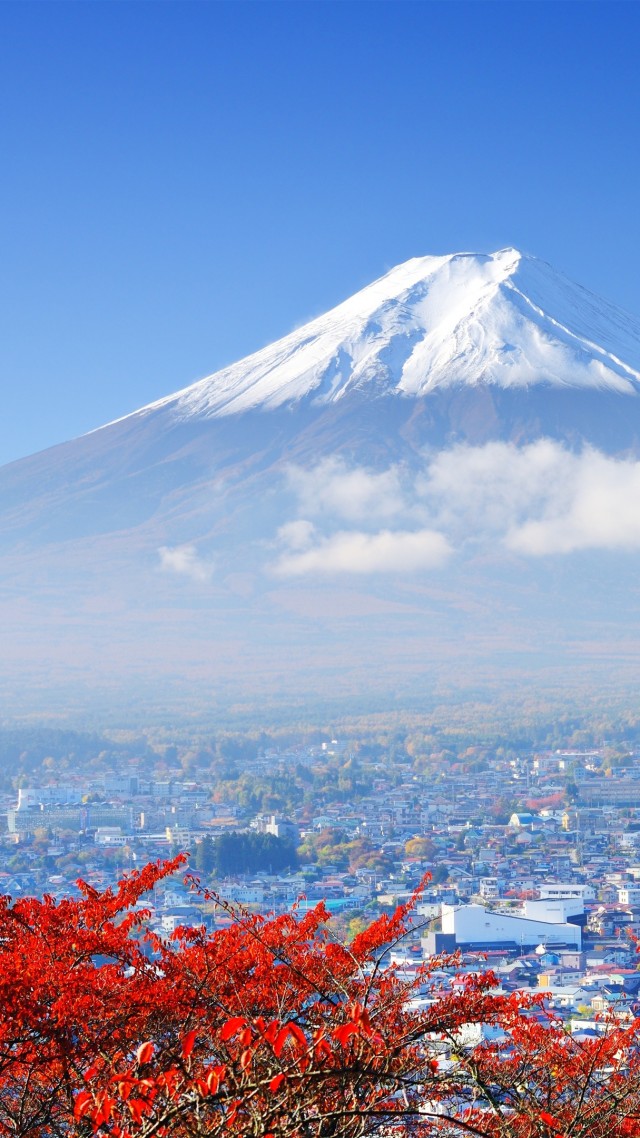 4k, Hd Wallpaper, Japan, Travel, Tourism, National - Japan Wallpaper Windows 10 , HD Wallpaper & Backgrounds