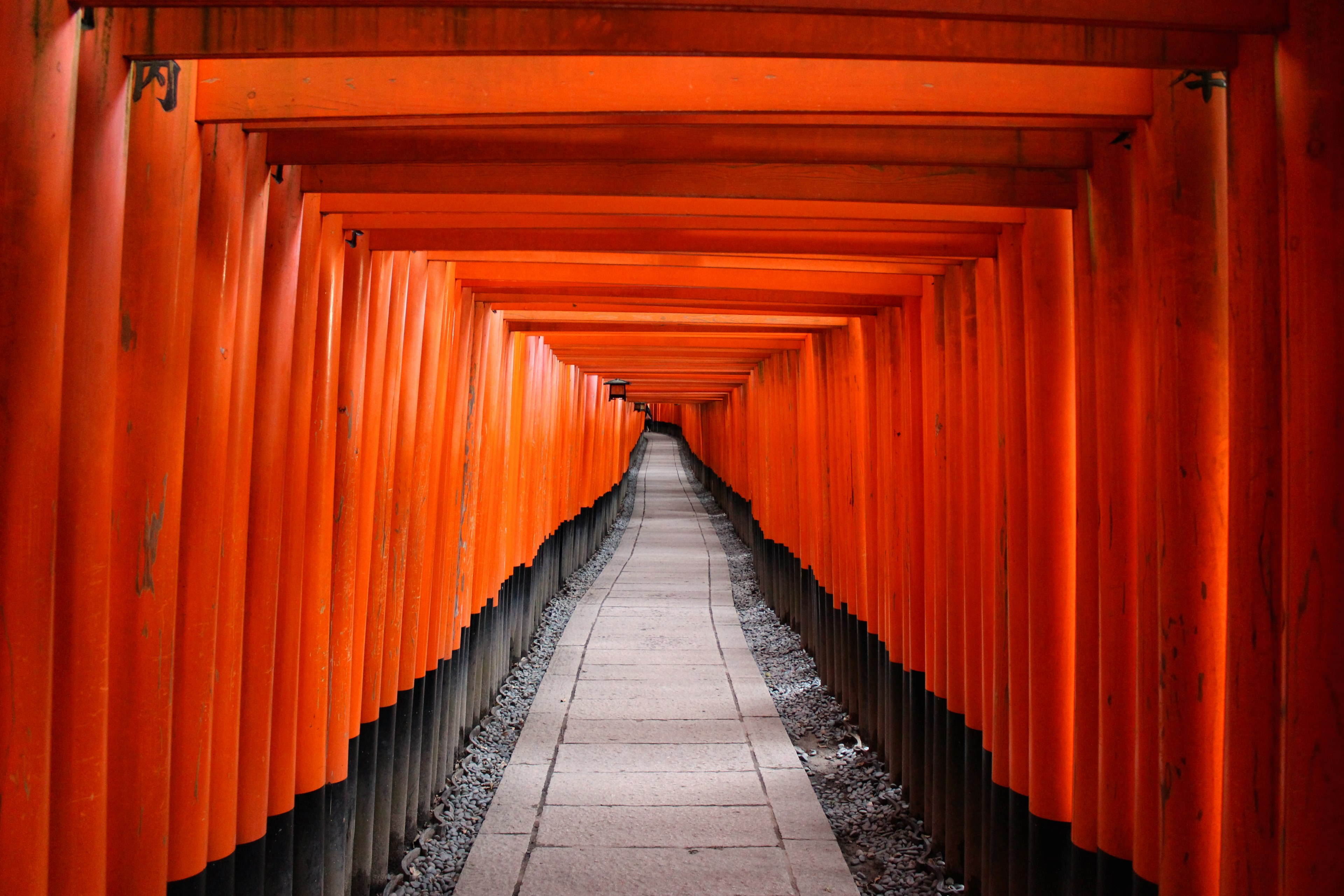 #3840x2560 Orange Architecture In A Hallway That Leads - Fushimi Inari , HD Wallpaper & Backgrounds