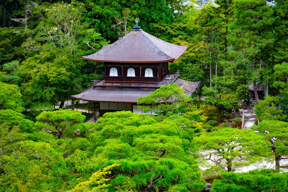 Wallpaper Traditional Japanese House In Green Park, - Temples In Nature , HD Wallpaper & Backgrounds