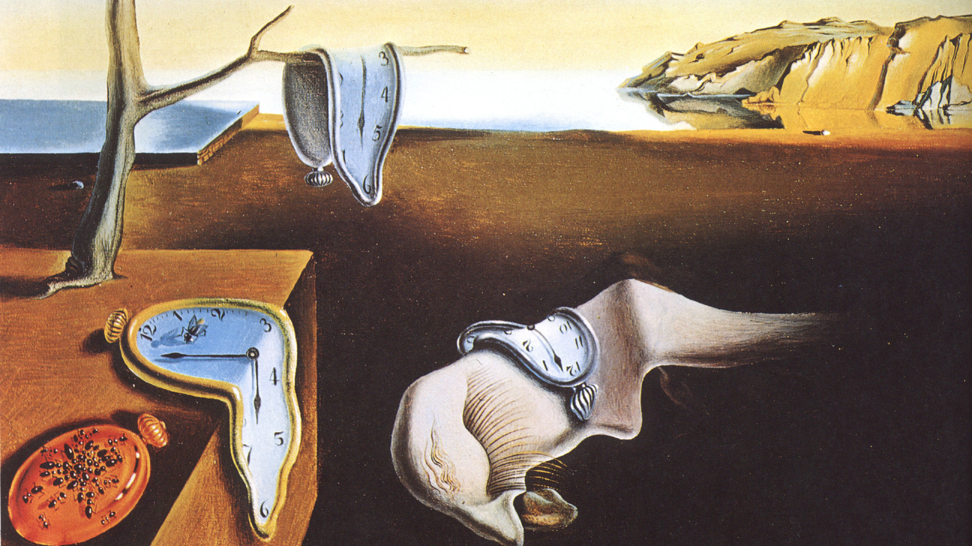 Salvador Dali, 1931, The Persistence Of Memory, Salvador - Museum Of Modern Art , HD Wallpaper & Backgrounds