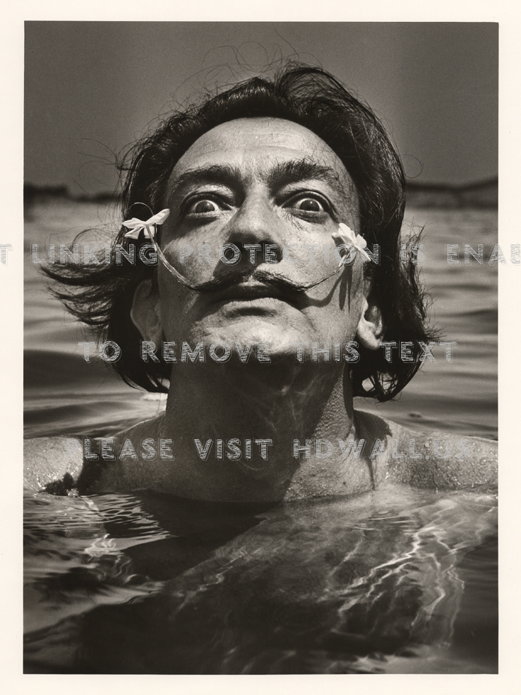 Salvador Dali Normal - Salvador Dali , HD Wallpaper & Backgrounds