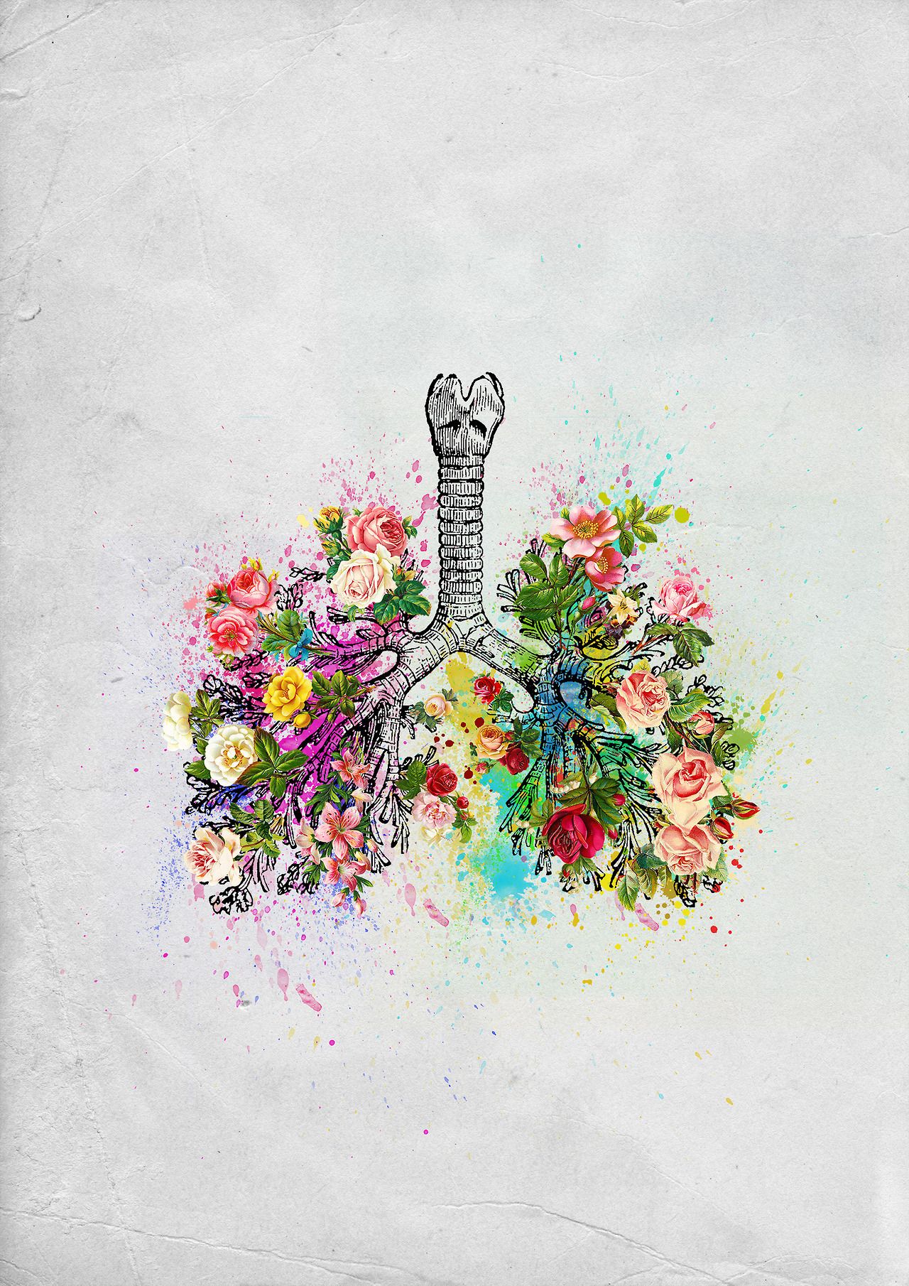 Flowers Lungs Skeleton Watercolor Available As Prints - Lungs With Flowers Drawing , HD Wallpaper & Backgrounds