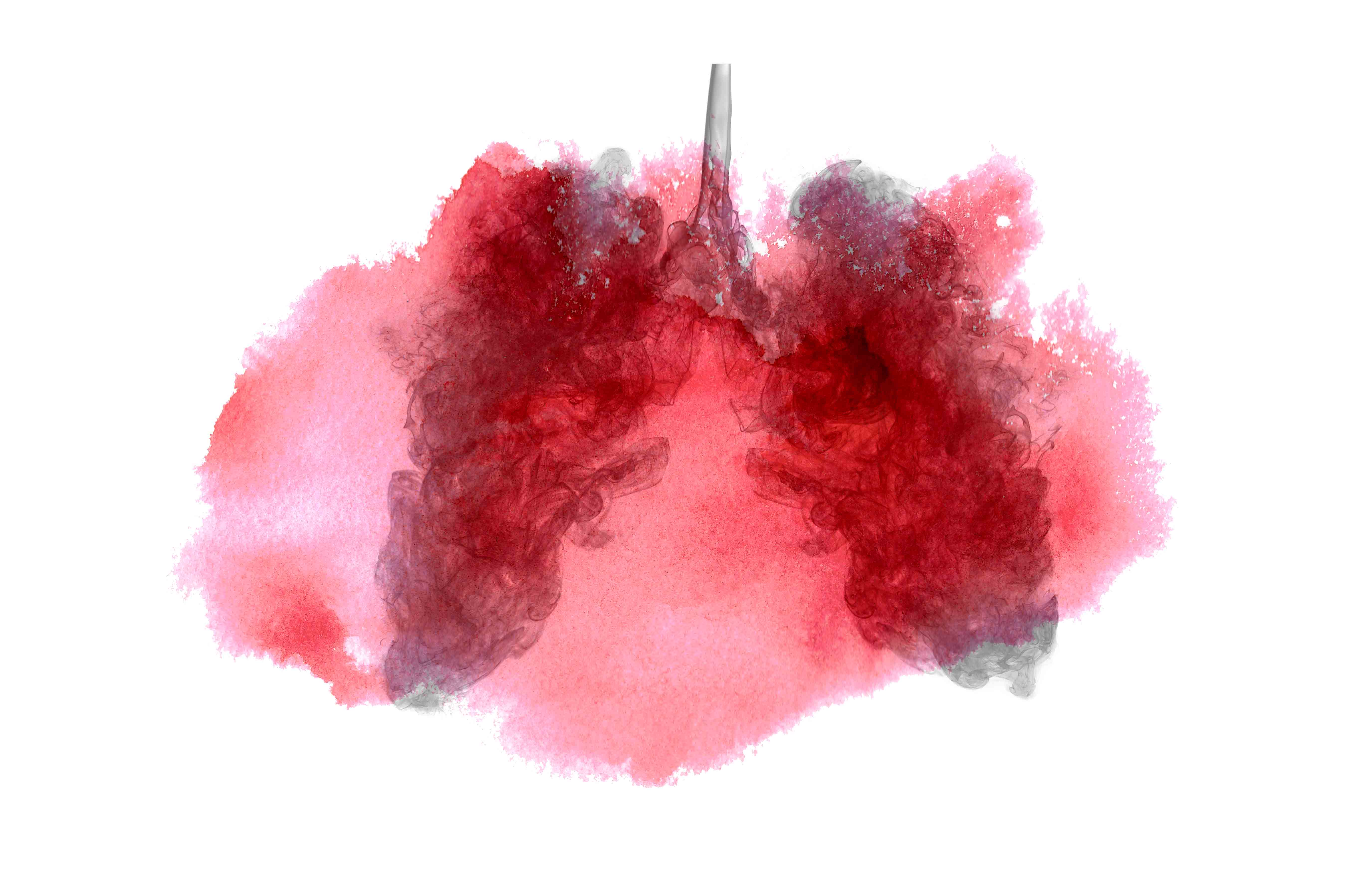 Lungs - Watercolor Lungs , HD Wallpaper & Backgrounds