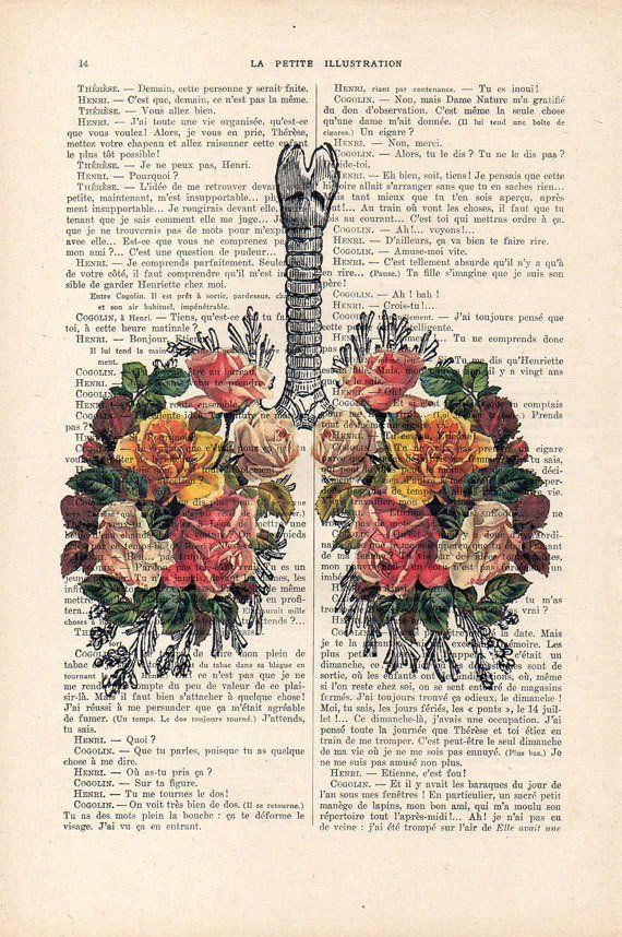 Botanic Roses Lungs Anatomy Print On 1900 Vintage Floral - Vintage Anatomy Backgrounds , HD Wallpaper & Backgrounds