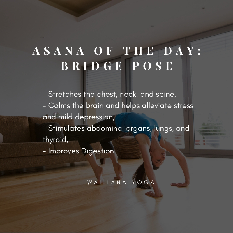 Yoga Images Bridge Pose Hd Wallpaper And Background - Stretching , HD Wallpaper & Backgrounds