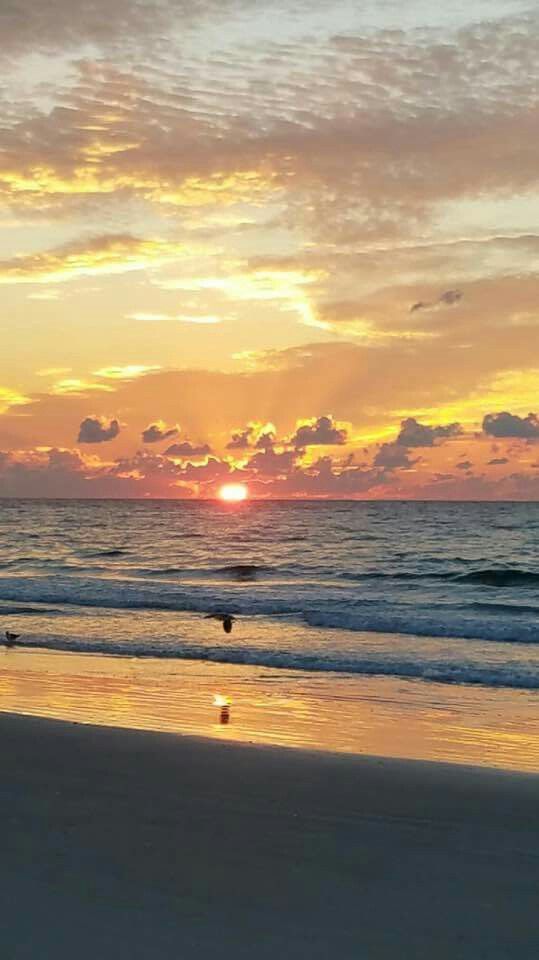 Siesta Key Beach Sarasota Ocean Pics, Ocean Pictures, - Sunset , HD Wallpaper & Backgrounds