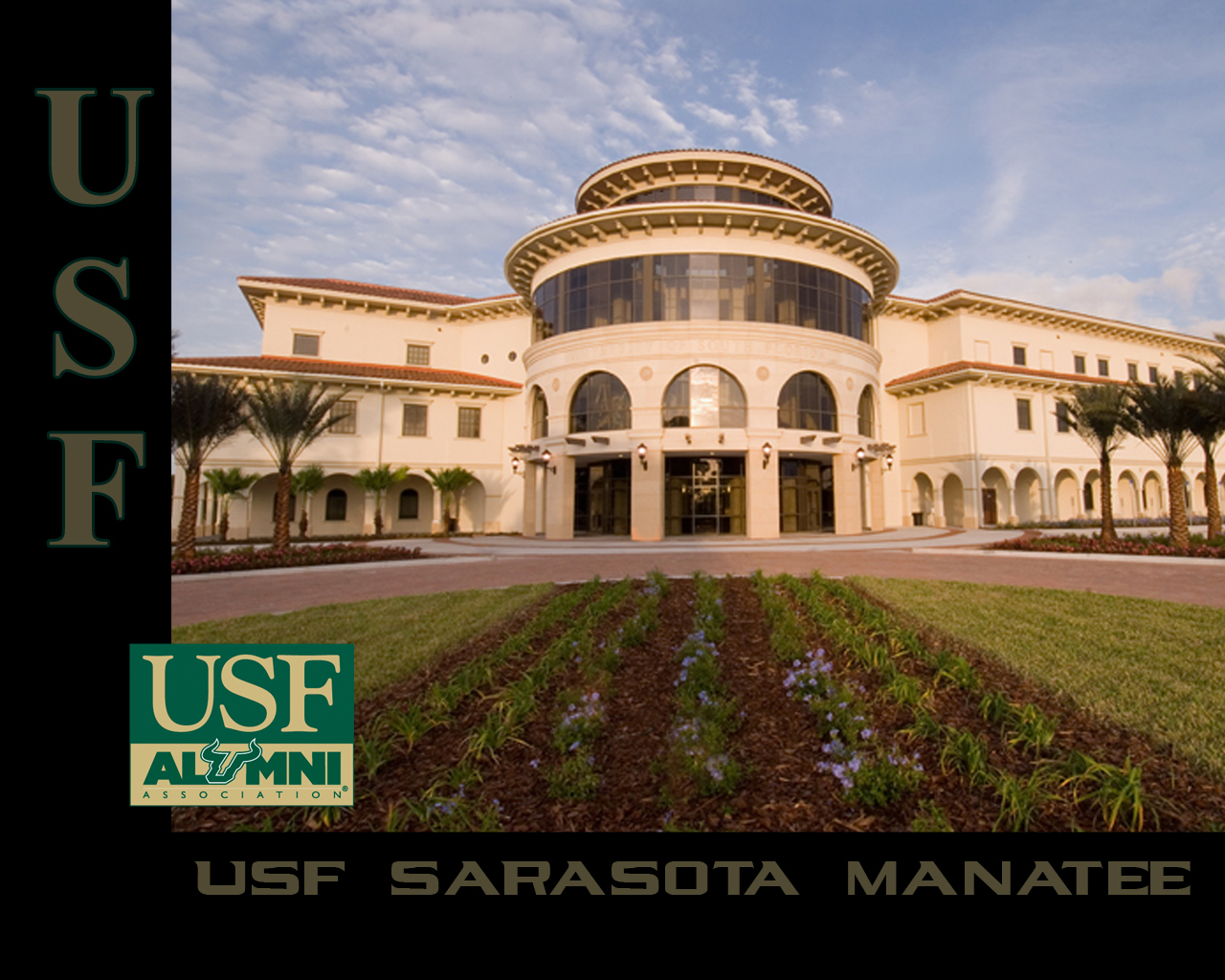 Usf Wallpaper - University Of South Florida , HD Wallpaper & Backgrounds
