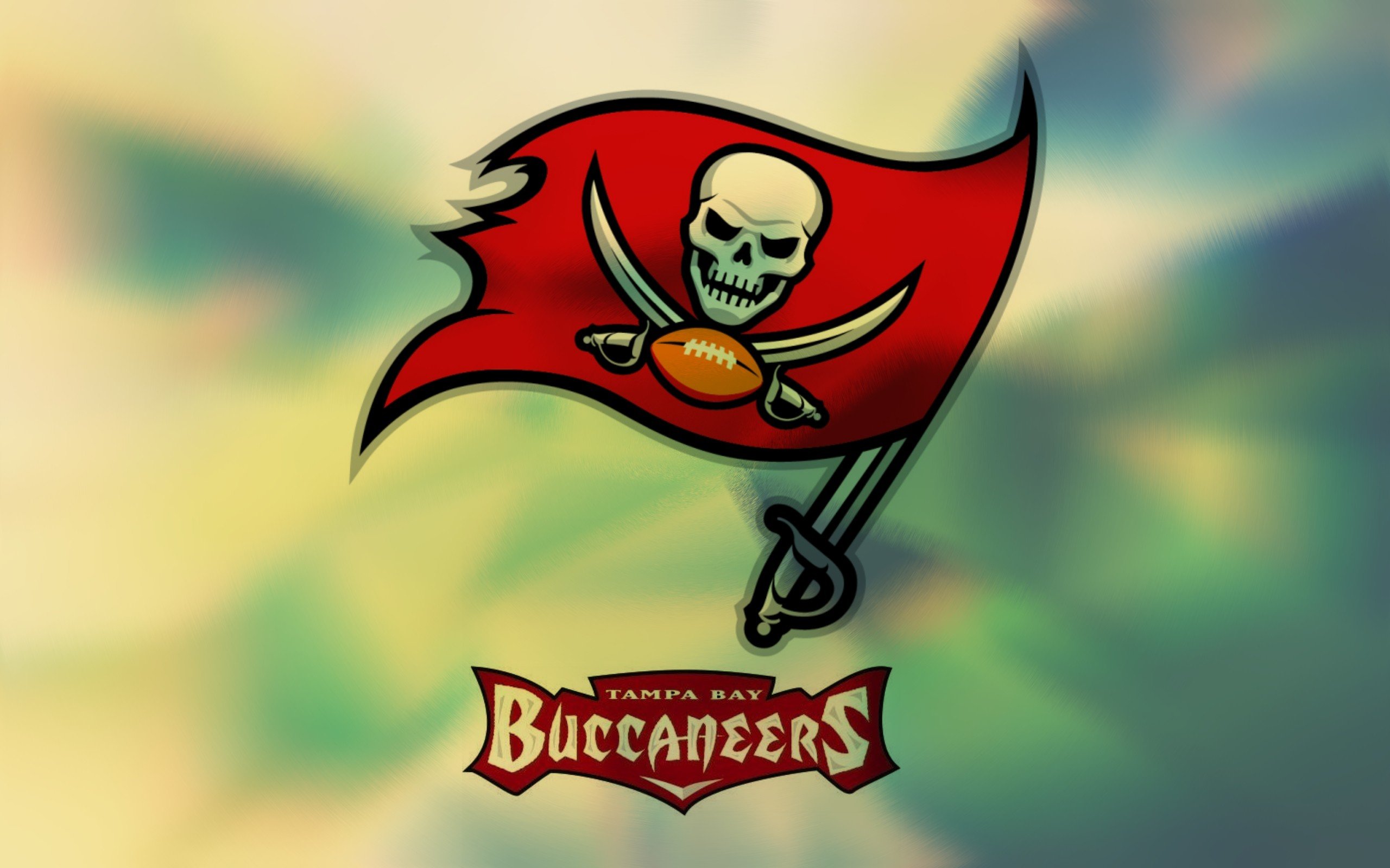 Tampa Nfl Wallpaper And Background - Buccaneers De Tampa Bay , HD Wallpaper & Backgrounds