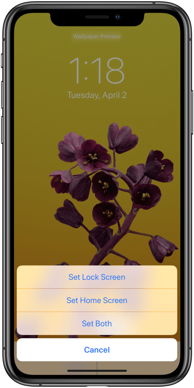 You Can Create Another Image And Have Different Lock - Iphone Xs Max Wallpaper Flowers , HD Wallpaper & Backgrounds