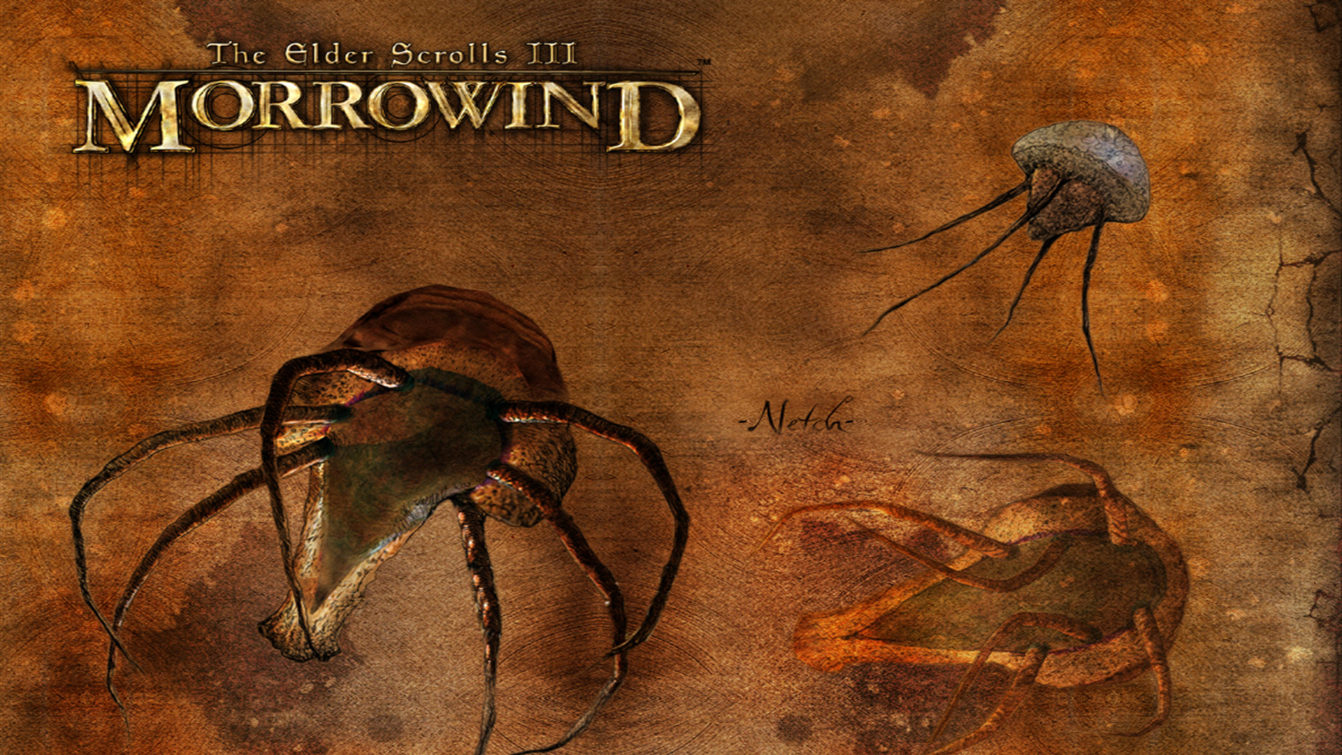 Morrowind , HD Wallpaper & Backgrounds