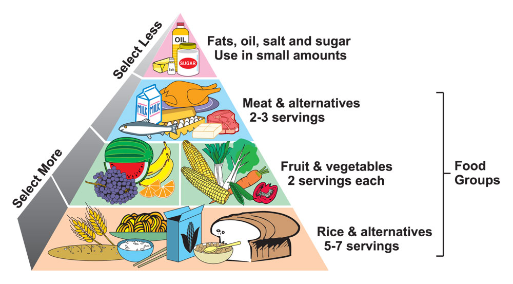 Food Chain Pyramid - Health Tips In Nepali , HD Wallpaper & Backgrounds