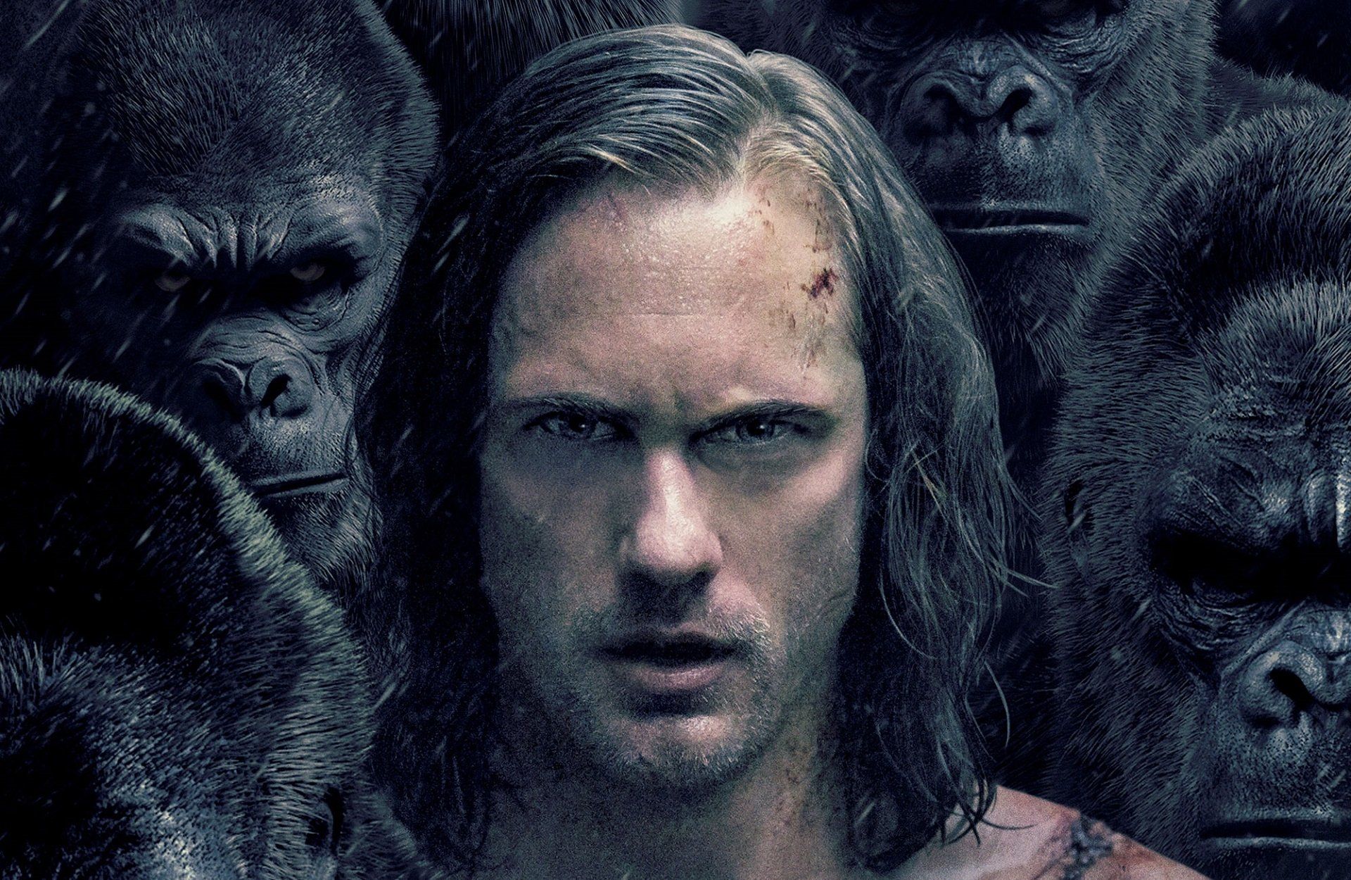 Walt Disney's Tarzan Images The Legend Of Tarzan 37 - Legend Of Tarzan 2016 Poster , HD Wallpaper & Backgrounds