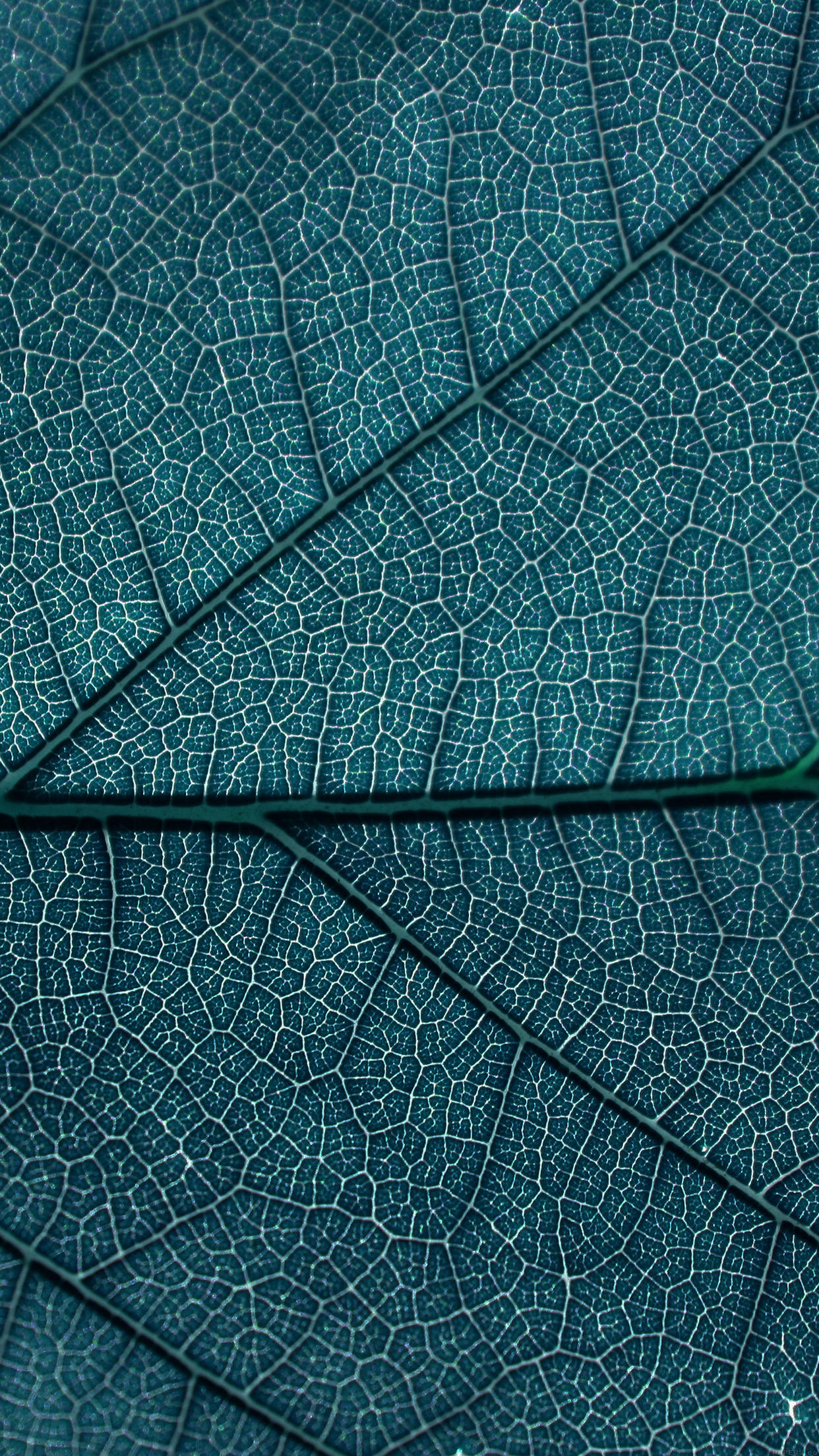 Leaf Blue Dark Nature Texture Pattern Android Wallpaper - Pattern Iphone , HD Wallpaper & Backgrounds