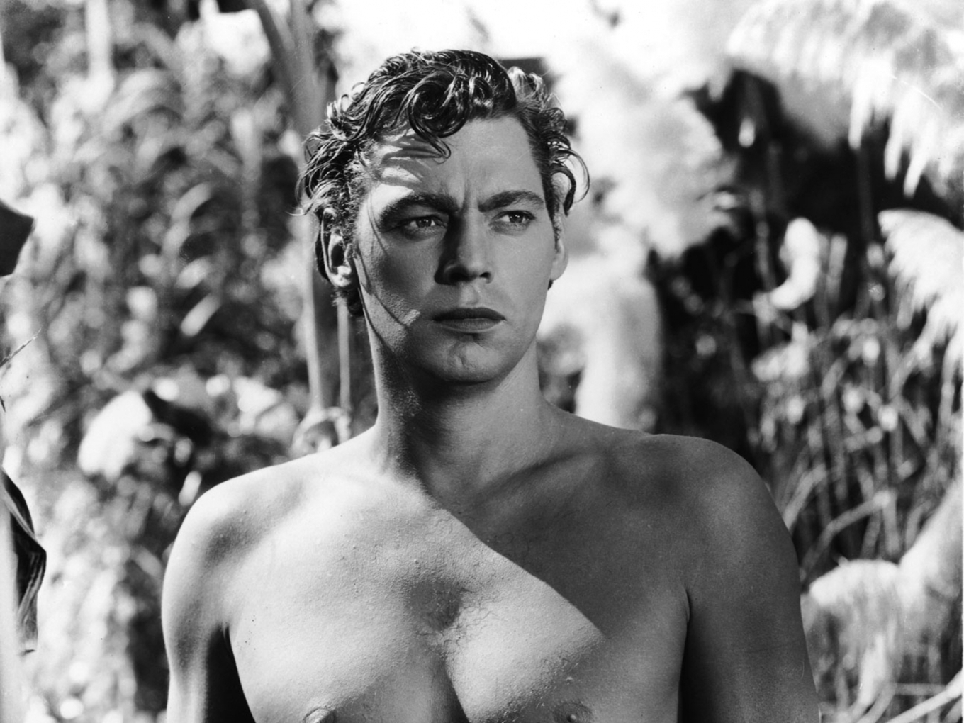 Tarzan Car Wallpaper - Johnny Weissmuller , HD Wallpaper & Backgrounds