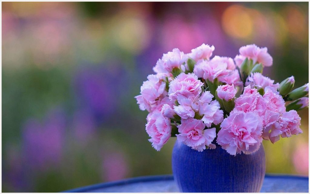 Carnation Pink Flowers In Vase Carnation Pink Flowers - Dios Mio Buenos Días , HD Wallpaper & Backgrounds