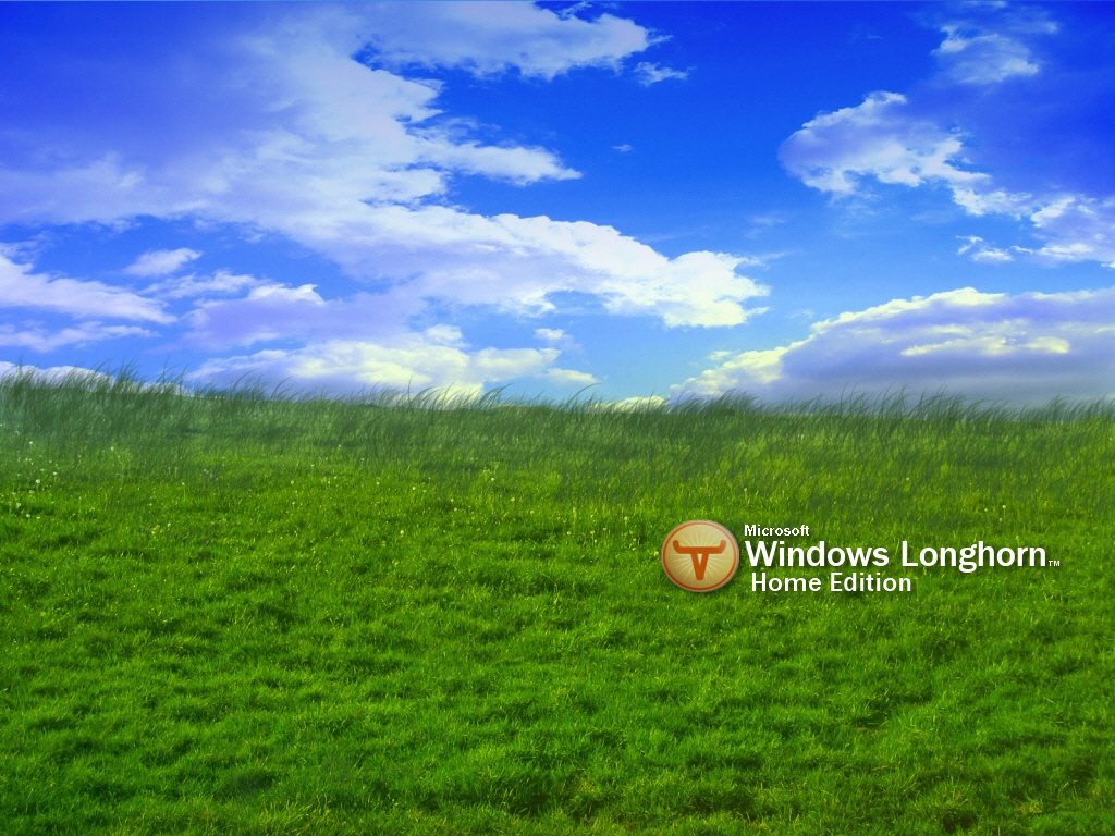 Windows Longhorn 003 - Grass , HD Wallpaper & Backgrounds