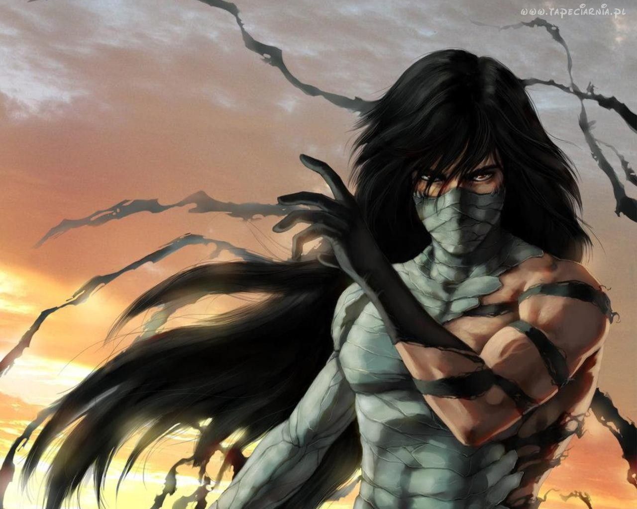 Bleach Final Getsuga Tenshou Hd Wallpapers - Final Getsuga Tenshou Hd , HD Wallpaper & Backgrounds