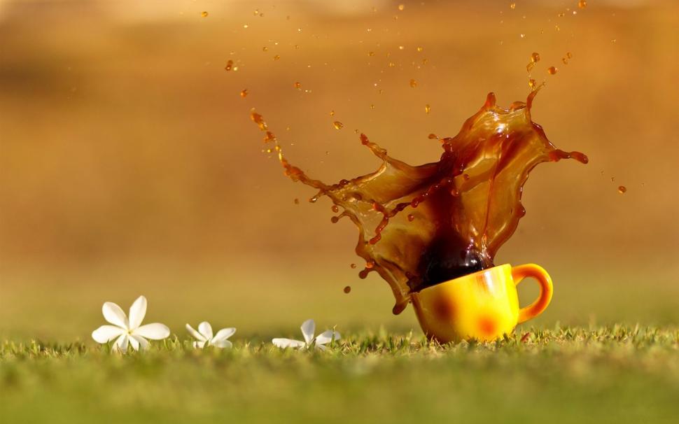 Coffee Splash, Cup, Grass, Water Drops Wallpaper - Good Evening Free Download , HD Wallpaper & Backgrounds