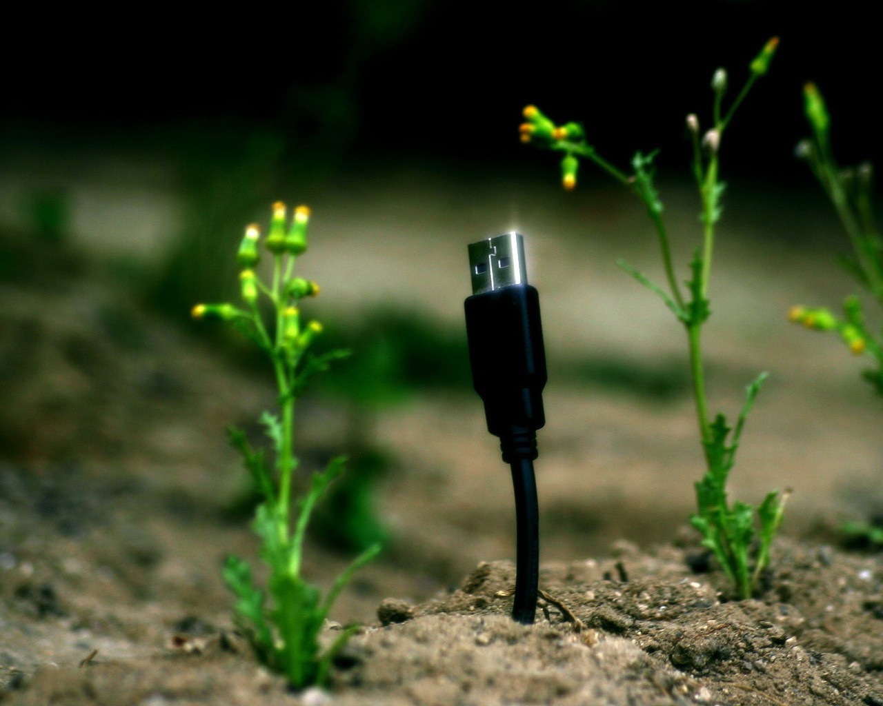 Usb Cable - Technology Vs Nature Theme , HD Wallpaper & Backgrounds