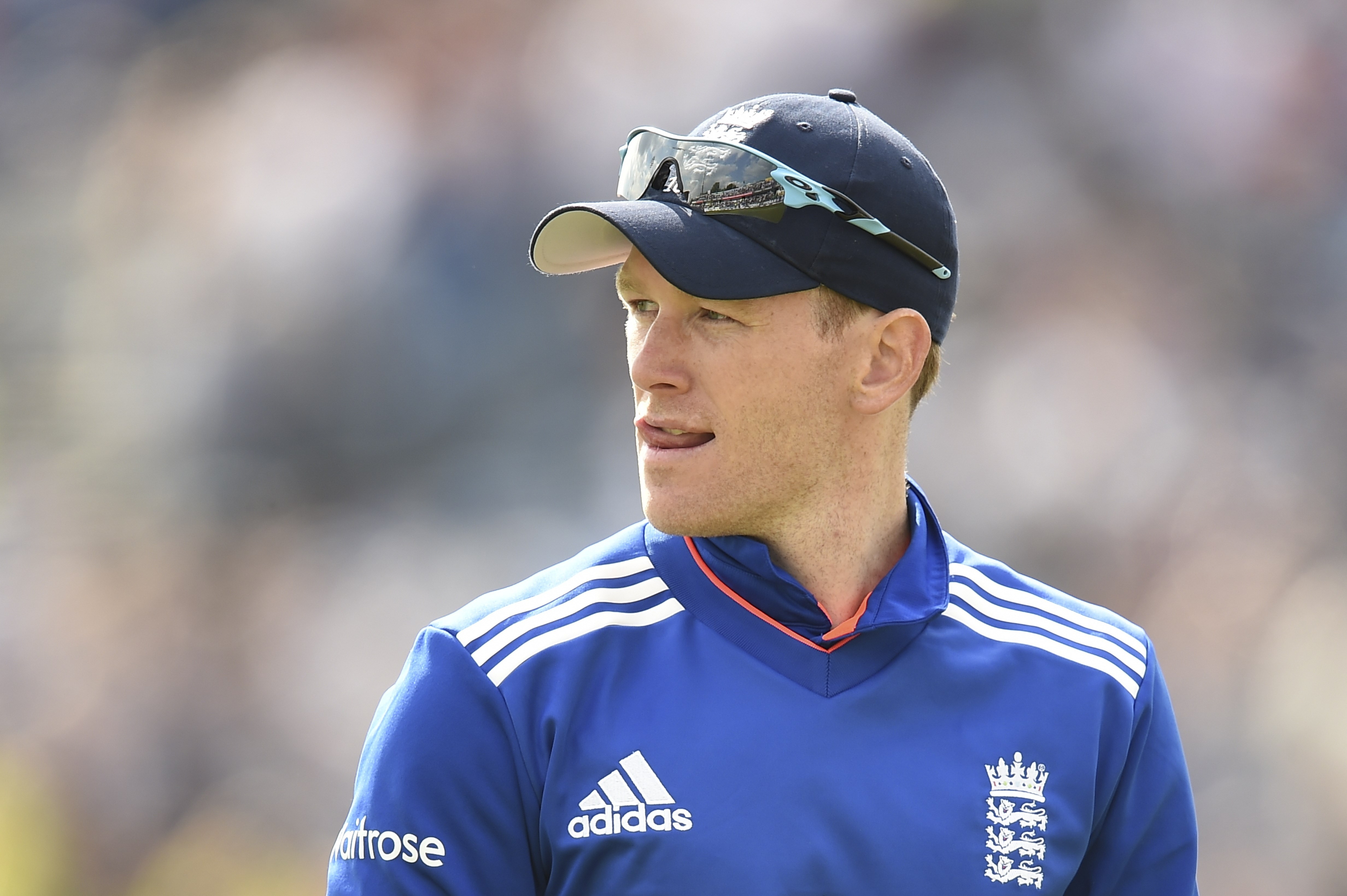 3447 Download 2718 Views England Cricketer Eoin Morgan - All Cricketer New Hd , HD Wallpaper & Backgrounds