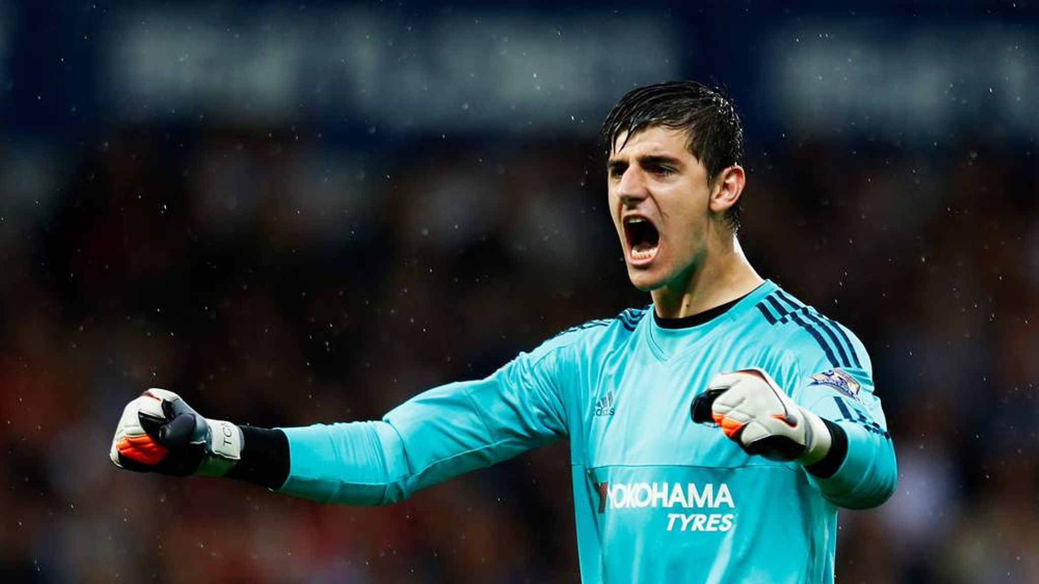 Chelsea Can Succeed With Hiddink, Says Courtois - Epl Goalkeepers , HD Wallpaper & Backgrounds