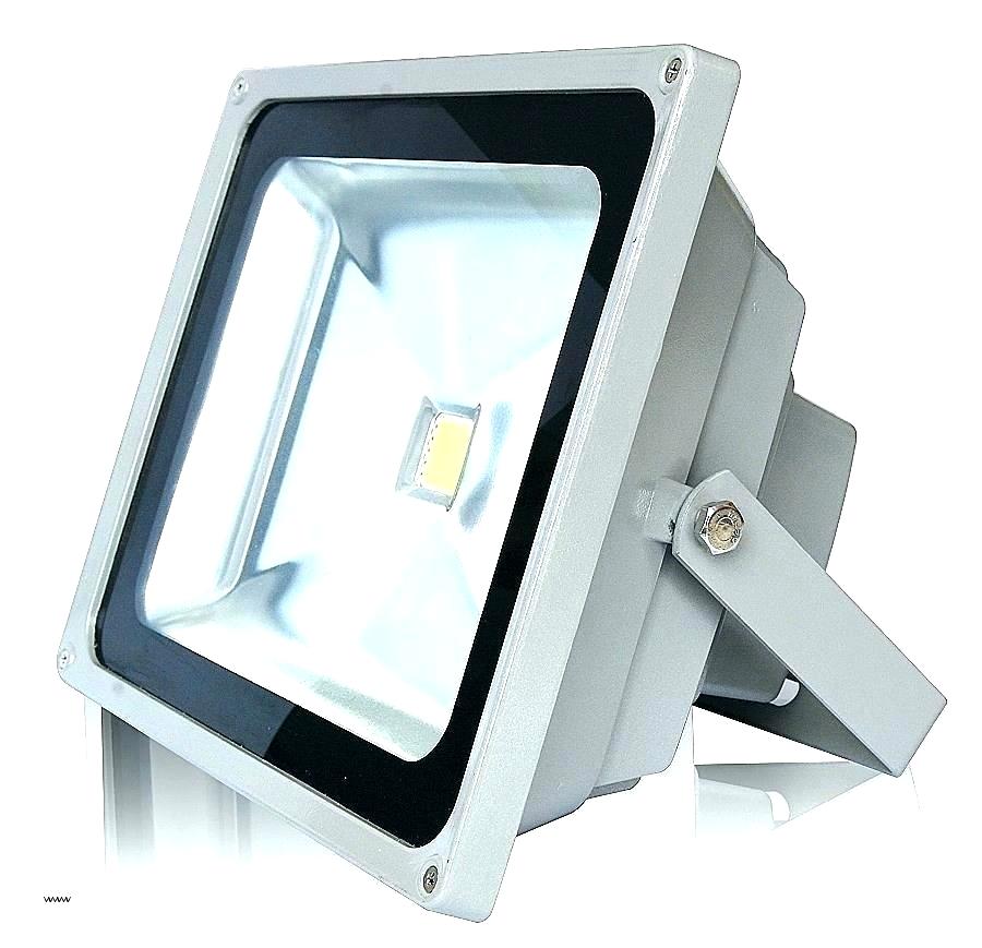 Commercial Motion Sensor Best Led Light Decorative - Gia Led Flood Light 50w , HD Wallpaper & Backgrounds