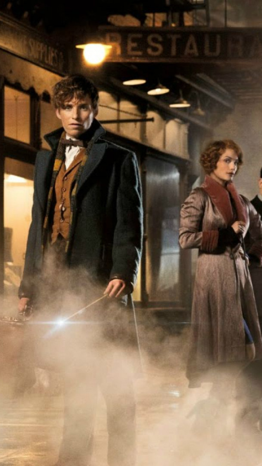 Film, Fictional Universe Of Harry Potter, Harry Potter, Fiona