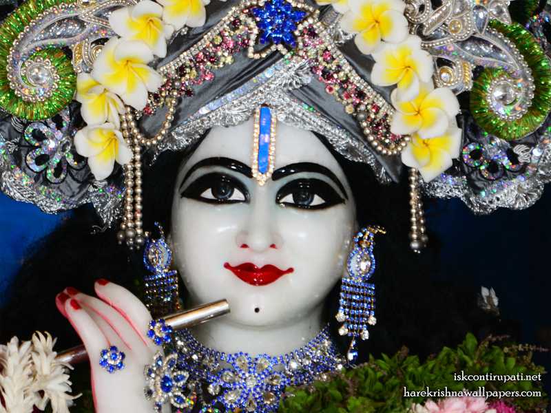 Sri Govinda Close Up Wallpaper - Iskcon Tirupati Lord Krishna , HD Wallpaper & Backgrounds