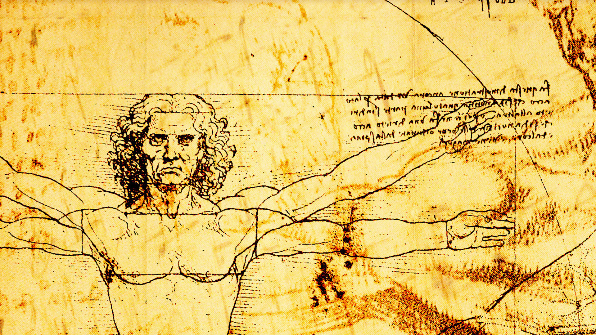 Leonardo Da Vinci , HD Wallpaper & Backgrounds