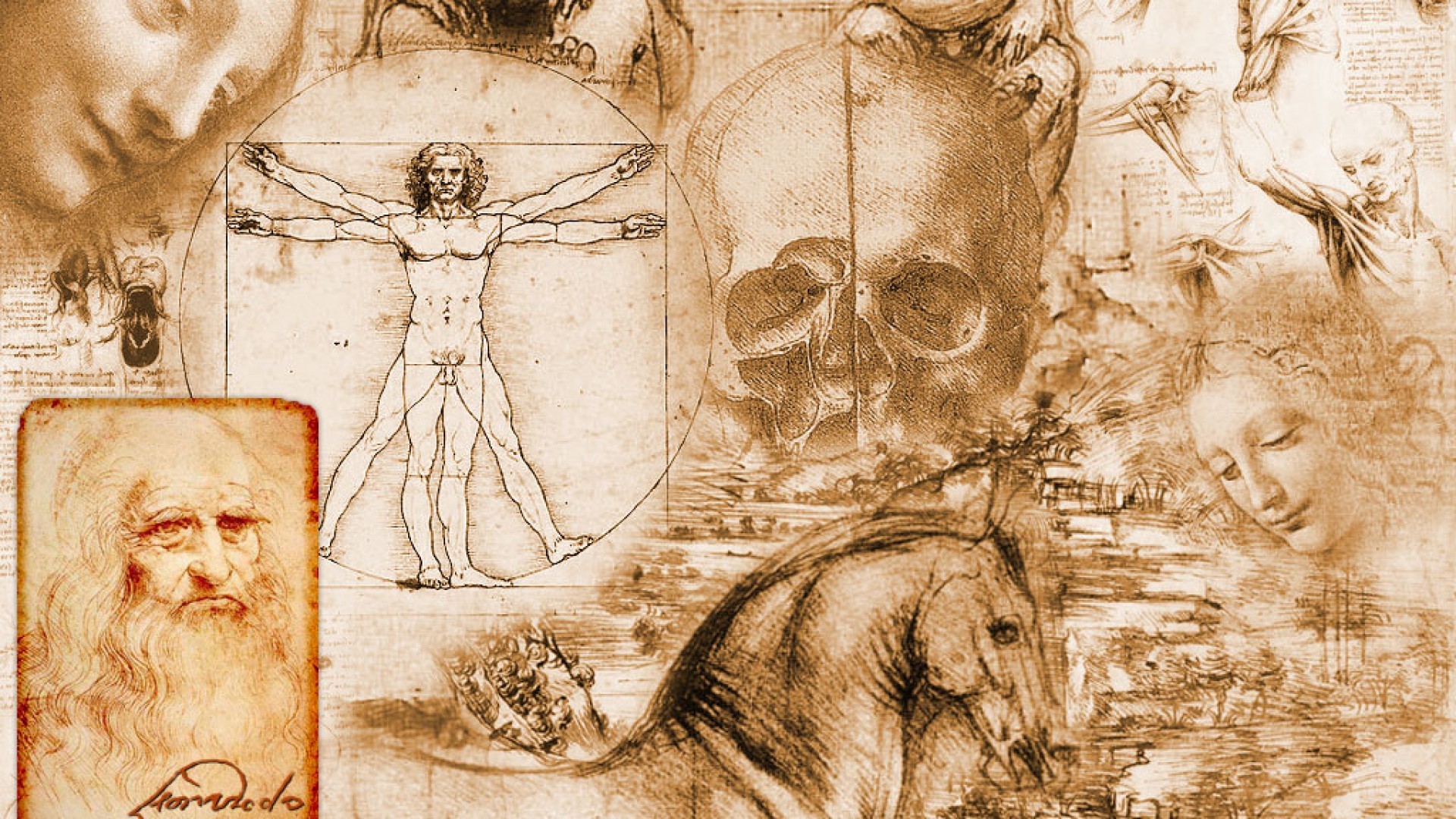 Leonardo Da Vinci Collage , HD Wallpaper & Backgrounds