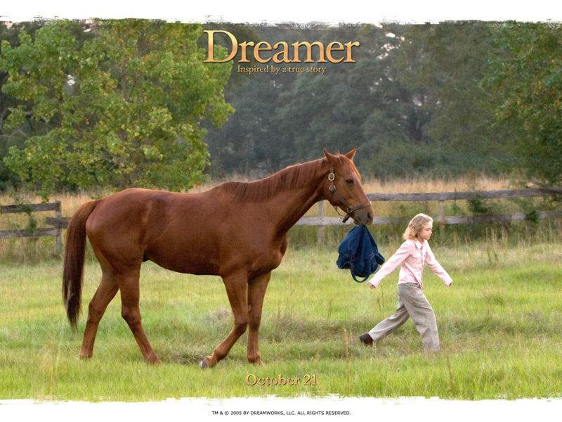 Dakota Fanning In Dreamer Wallpaper - Dreamer Inspired By A True Story , HD Wallpaper & Backgrounds