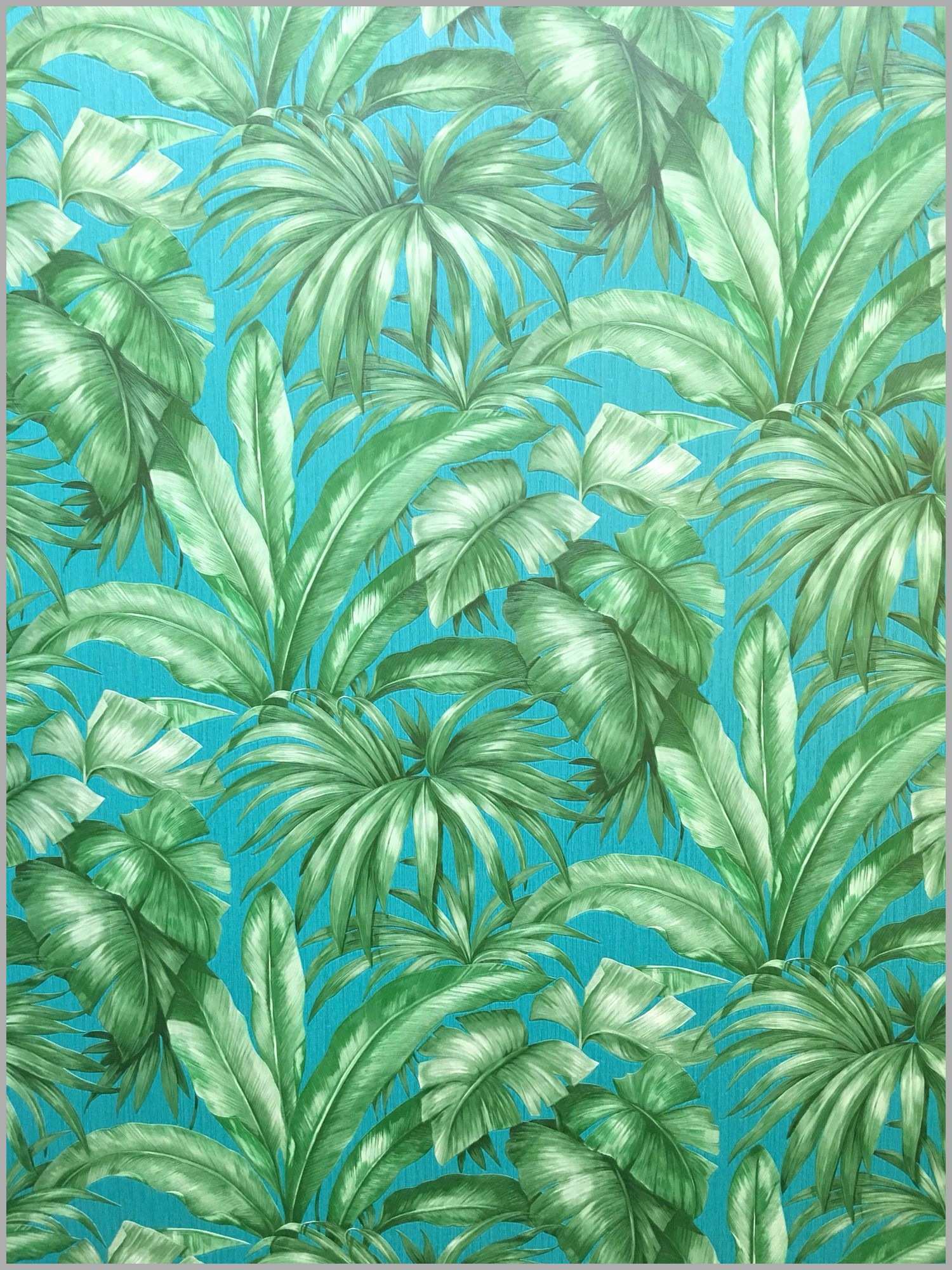 Tommy Bahama Wallpaper Good 33 Fresh - Versace Wallpaper Palms , HD Wallpaper & Backgrounds